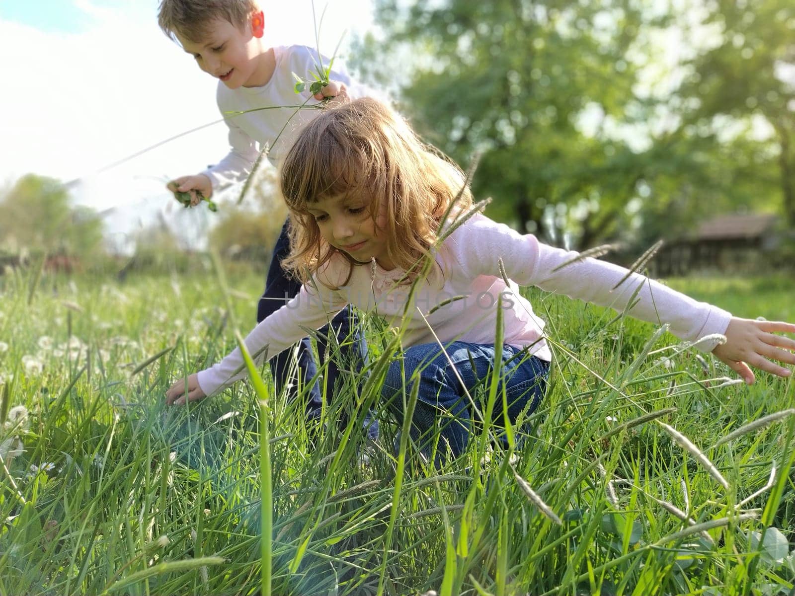 Boy and girl are playing in the meadow. Children lean in the green grass and touch it with their hands. Brother and sister walk in nature.