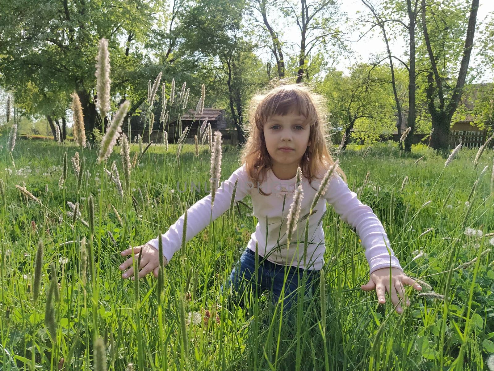 Girl in the meadow. Sedge-like green grass surrounds the child. The concept of ecology and harmony with nature. Cute girl touches the plants with her hands. Field with cereals. Calm life