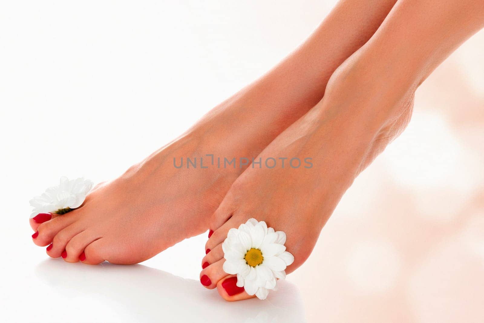 Beautiful female legs with daisy flower on an abstract blurred background.