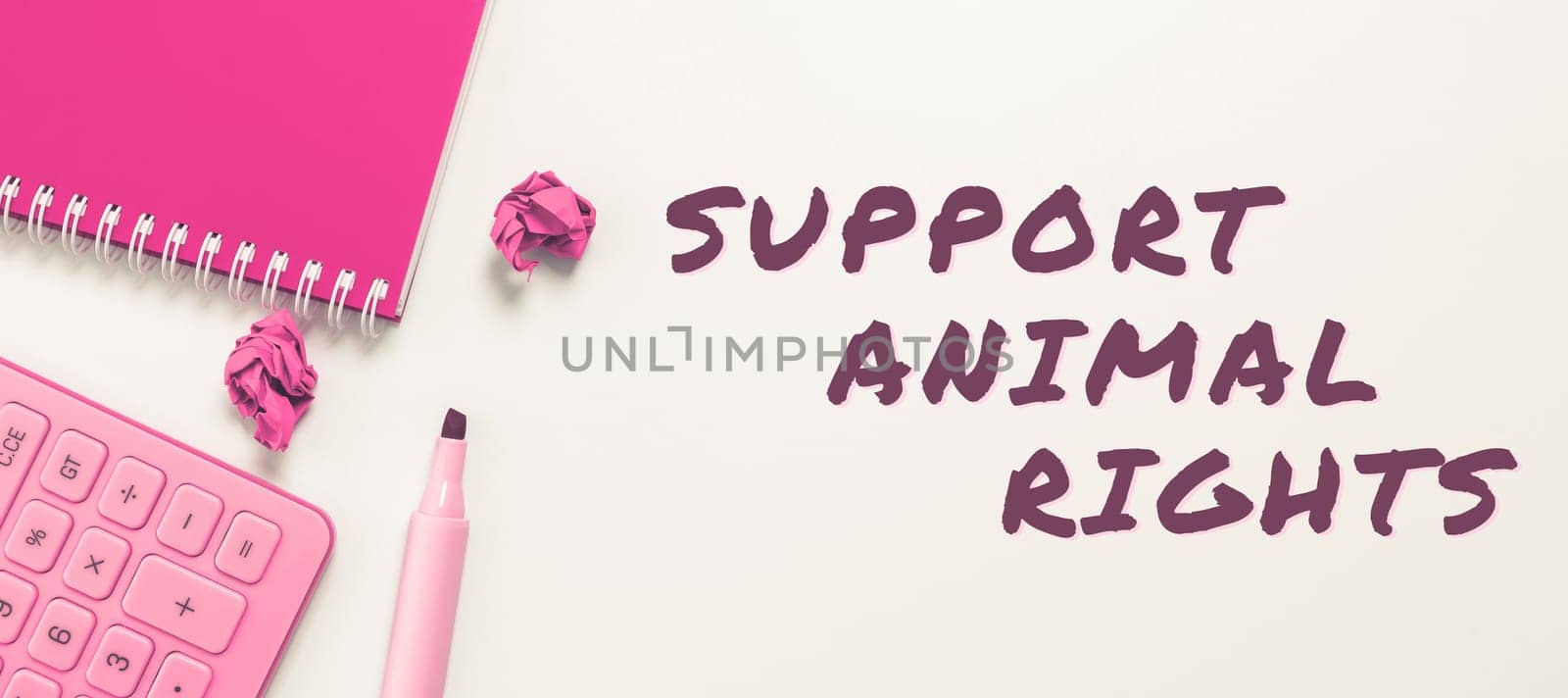 Writing displaying text Support Animal Rights, Word Written on protection and proper treatment of all animals