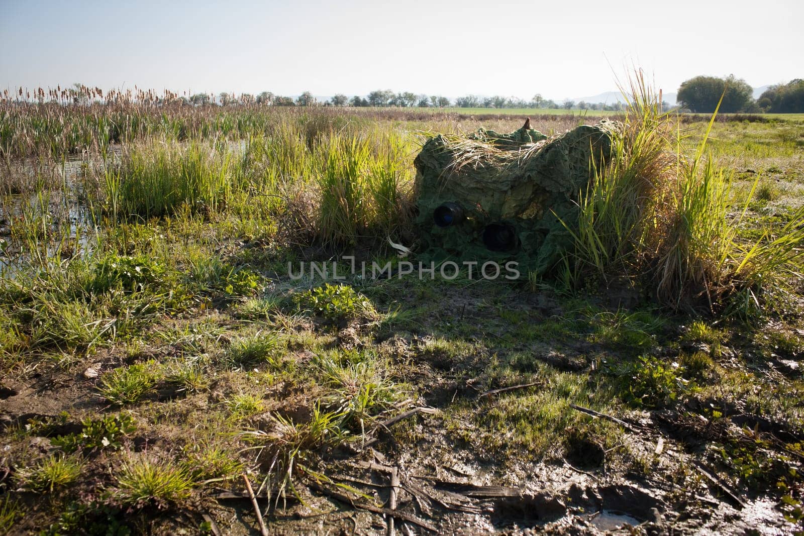 wildlife photographer hiding in a hide from camouflage netting in summer nature. Green tent for taking picture of wild animals in water environments.