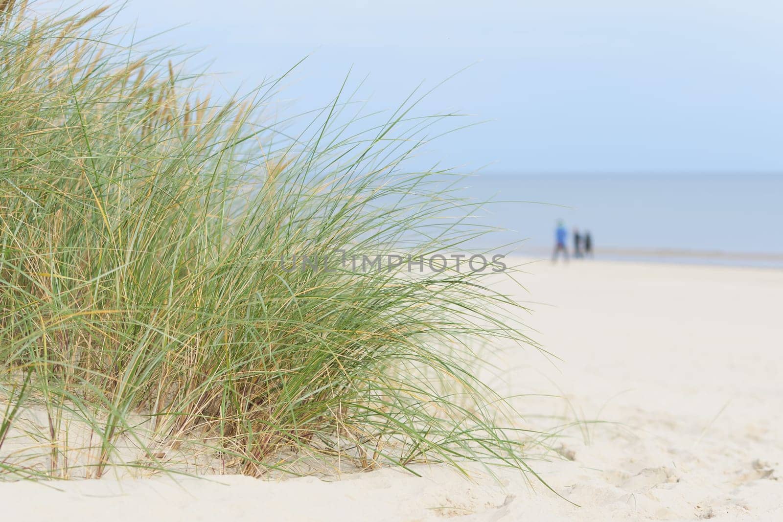 Beach on the coast of Swinoujscie on Baltic Sea coast. In the background blurry walkers.