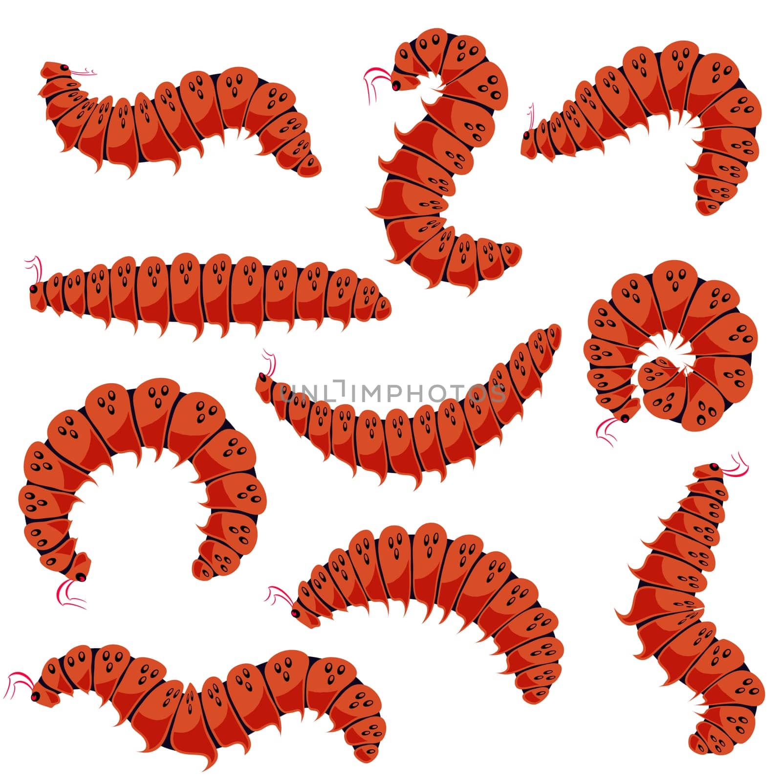 Red Cartoon Caterpillars Isolated on White Background. Cute Summer Insects. Small Maggot Move. Butterfly Life Cycle.