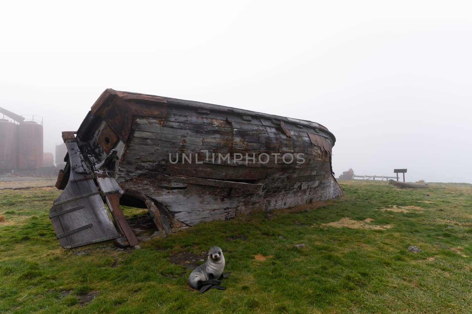 Old, rusty whale oil tanks and processing facilities at a now abandoned whaling station in Grytviken -on the island of South Georgia.