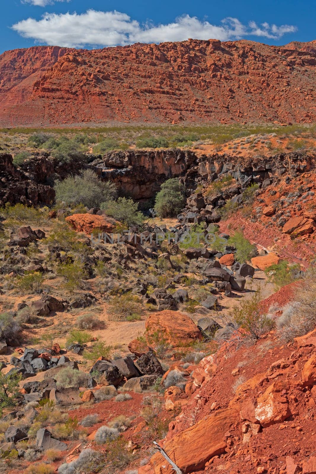 Red Rock Cliffs Above Rocky Arroyo in Snow Canyon State Park in Utah
