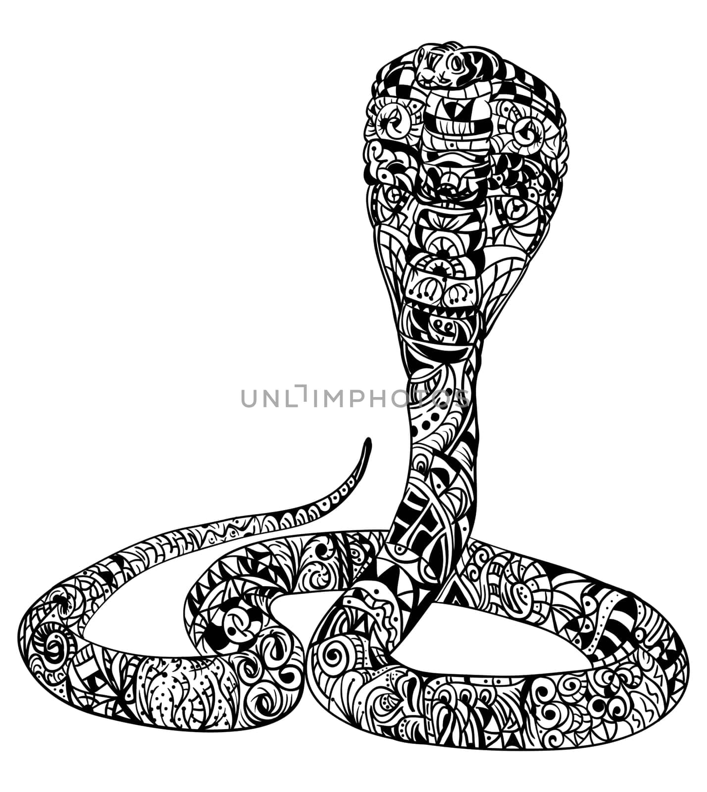 vector - snake zentangle - isolated on background