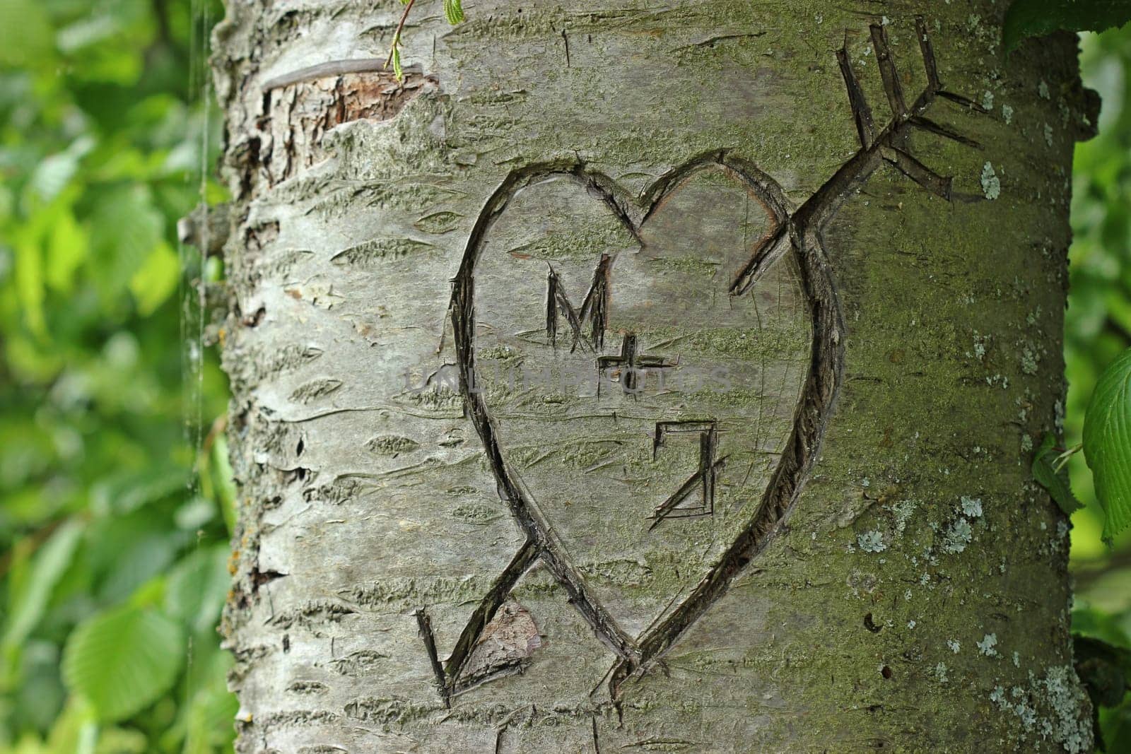 M loves J