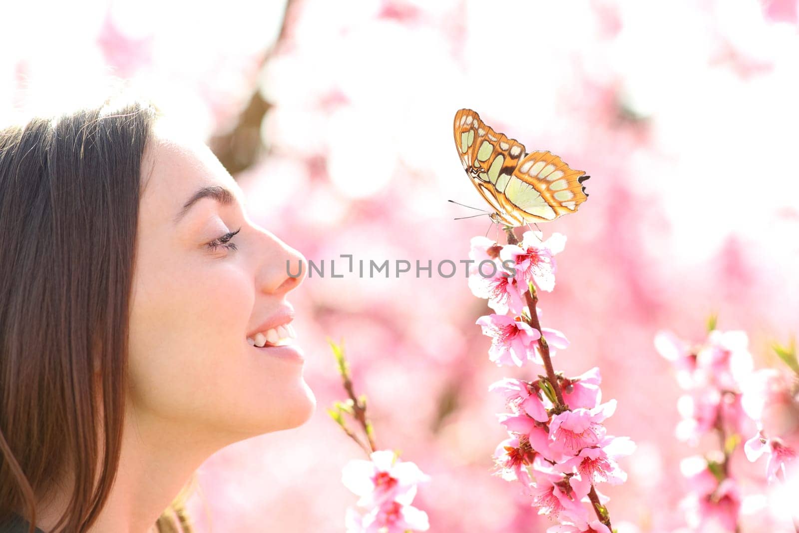 Profile of a happy woman lookijng at butterfly in a field