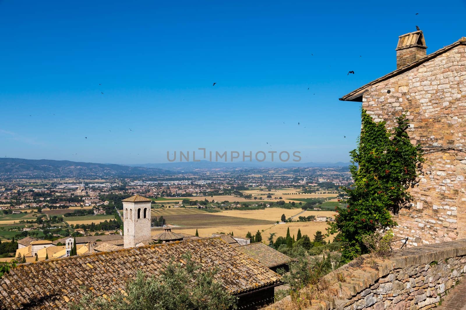 Assisi village in Umbria region, Italy. The town is famous for the most important Italian St. Francis Basilica (Basilica di San Francesco)
