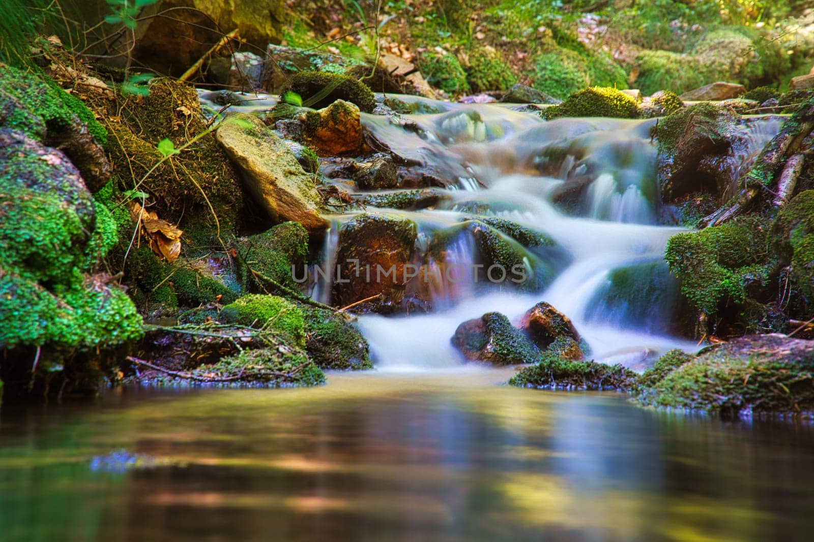 A forest stream captured with a long exposure. Landscape photo