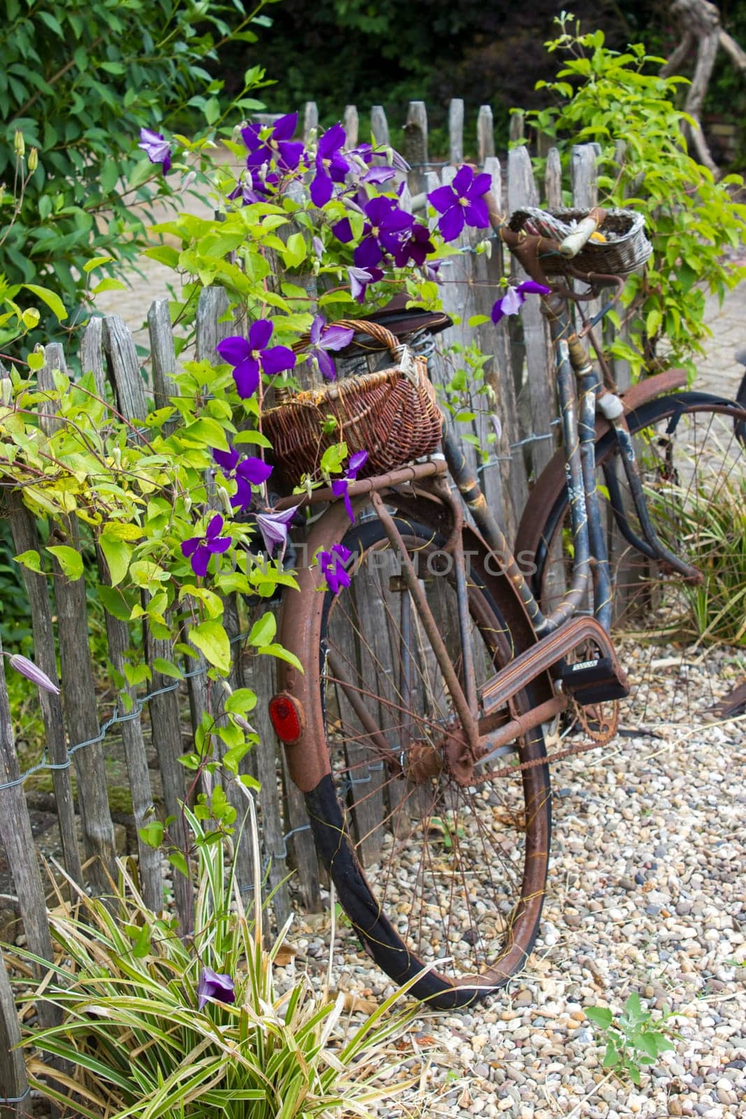 old vintage bicycle with basket on a wooden fence