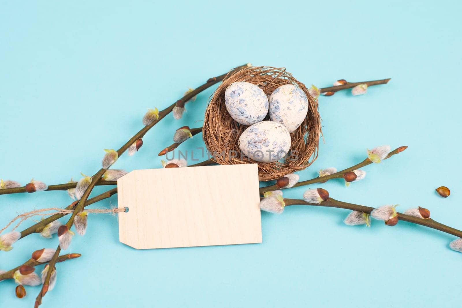 Easter holiday greeting, nest with small colored eggs, branches of pussy willow and a blank tag, spring season