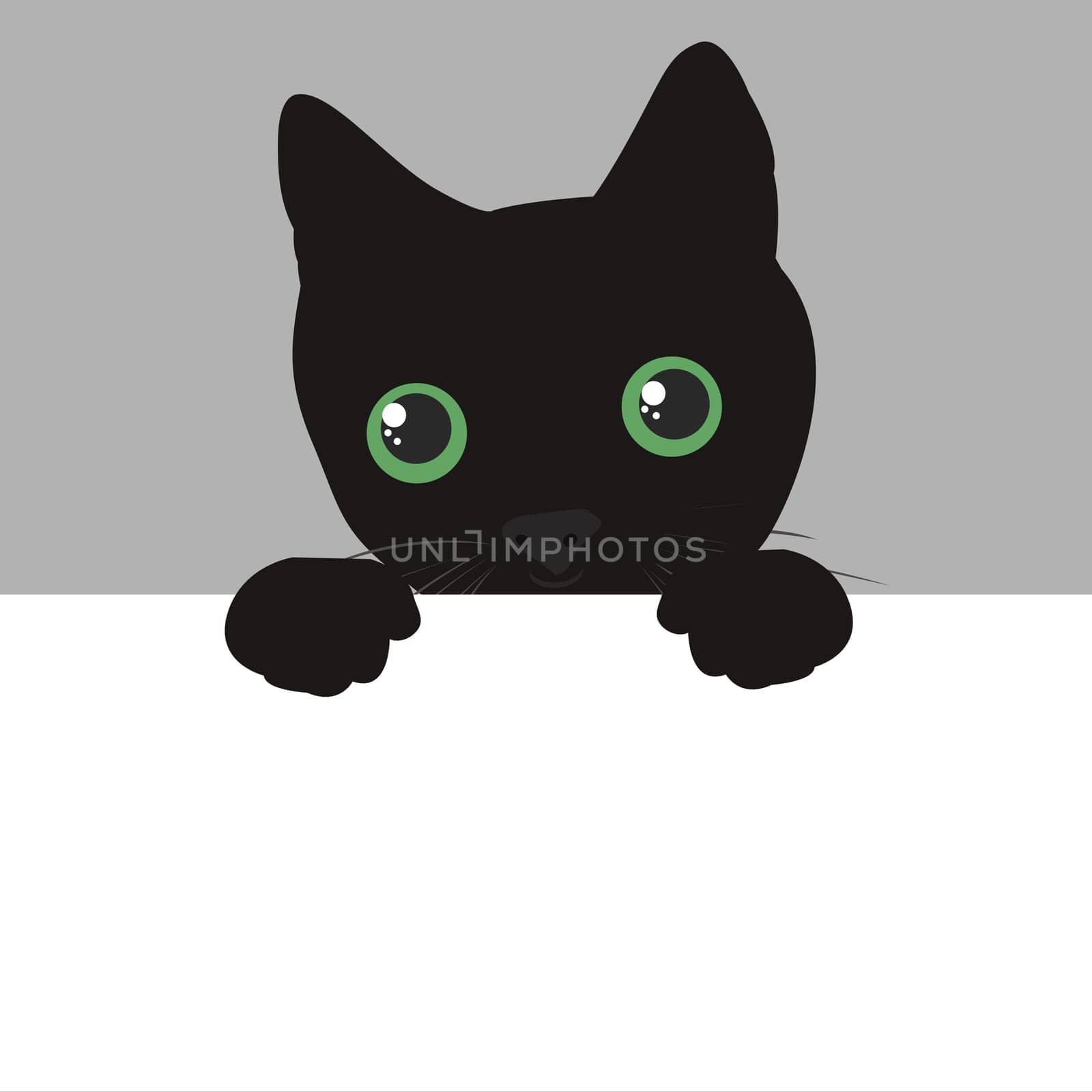 Cute black cat face spy on you