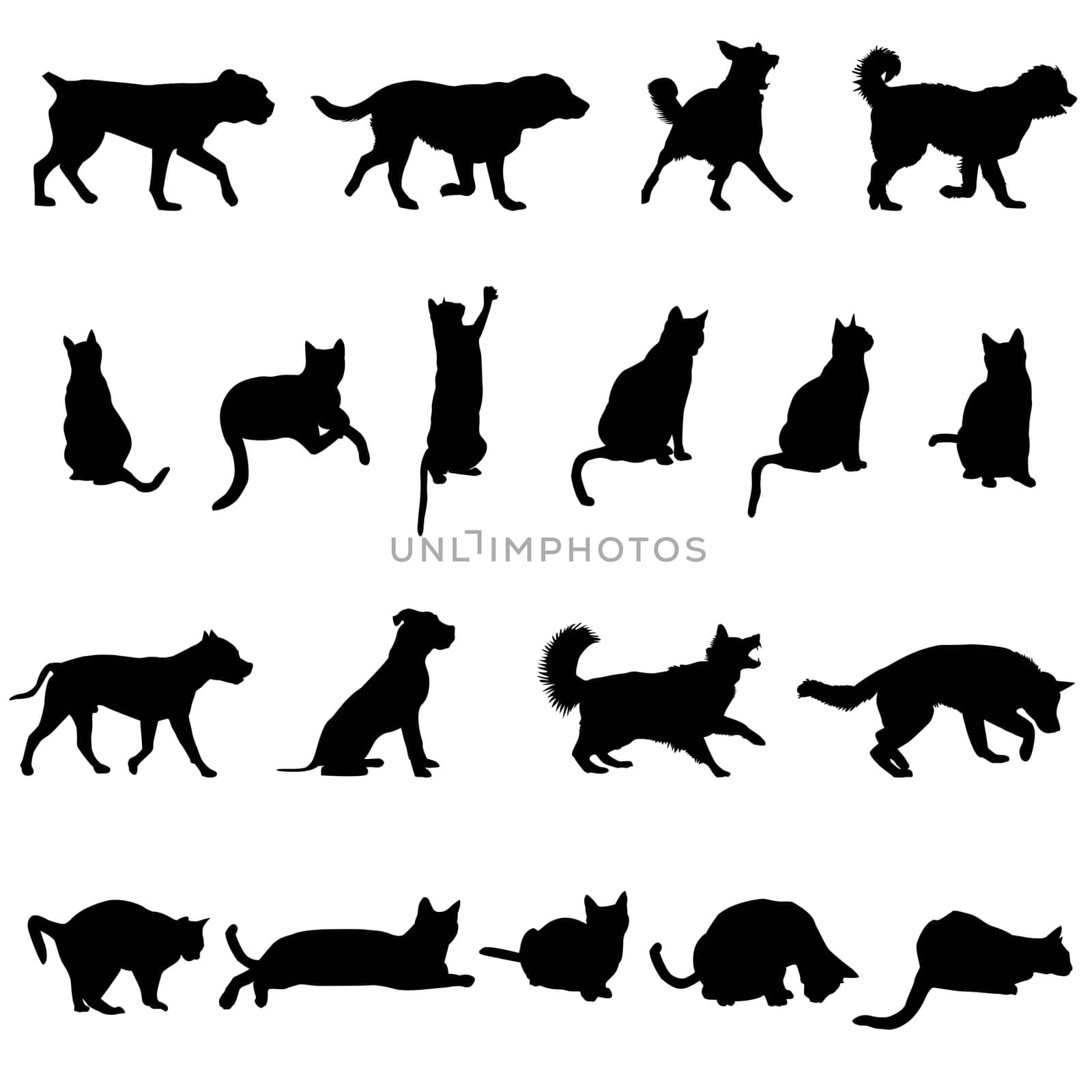 Silhouette of dogs and cats isolated on white background