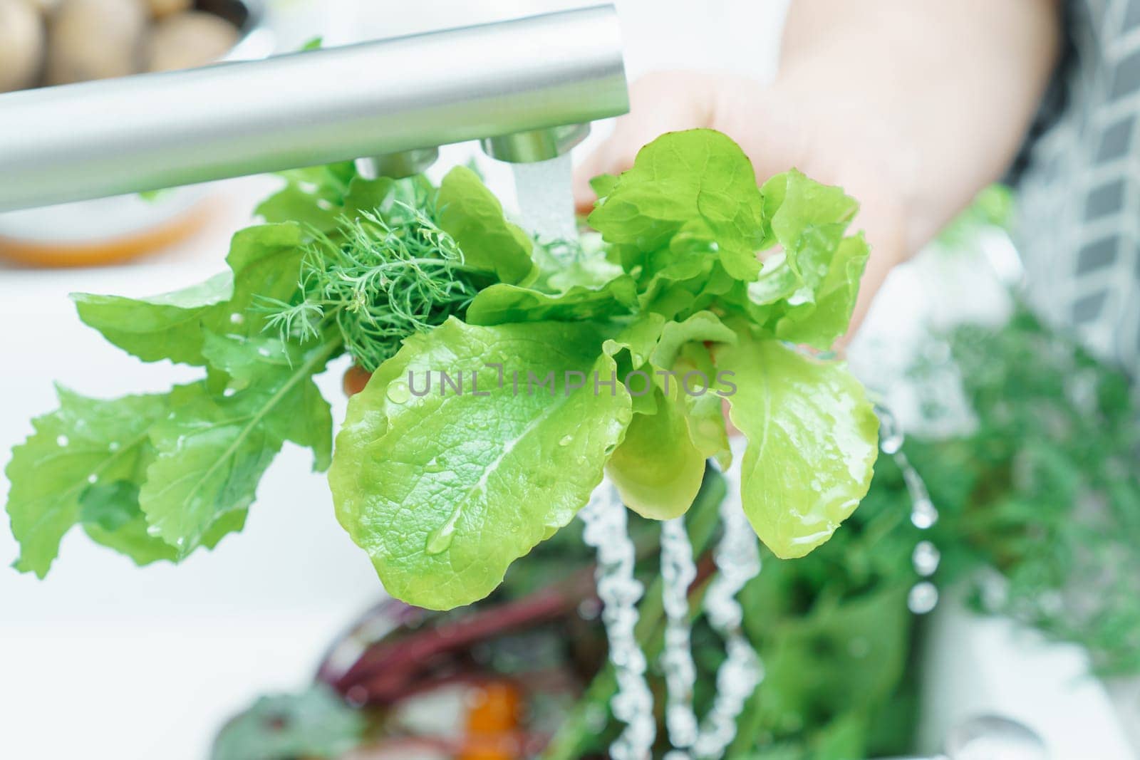 Cropped photo of woman washing fresh greenery lettuce dill with hands under running water in sink in kitchen. Vegetables, vegetarian, preparation for cooking, healthy food, hygiene. Selective focus.