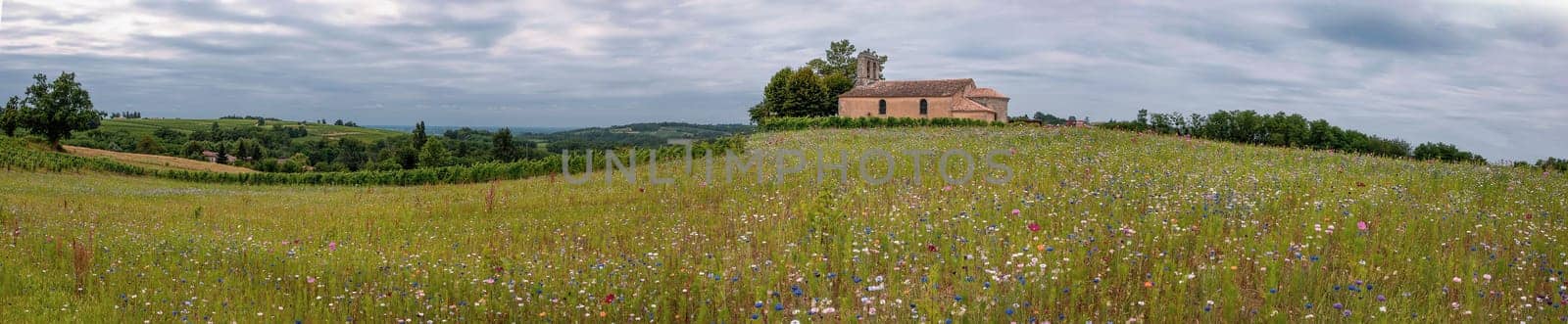 Vignoble Bordelais features a stunning view of rolling fields adorned with wildflowers and a quaint building situated near the Church of Blasimon in Gironde, France.