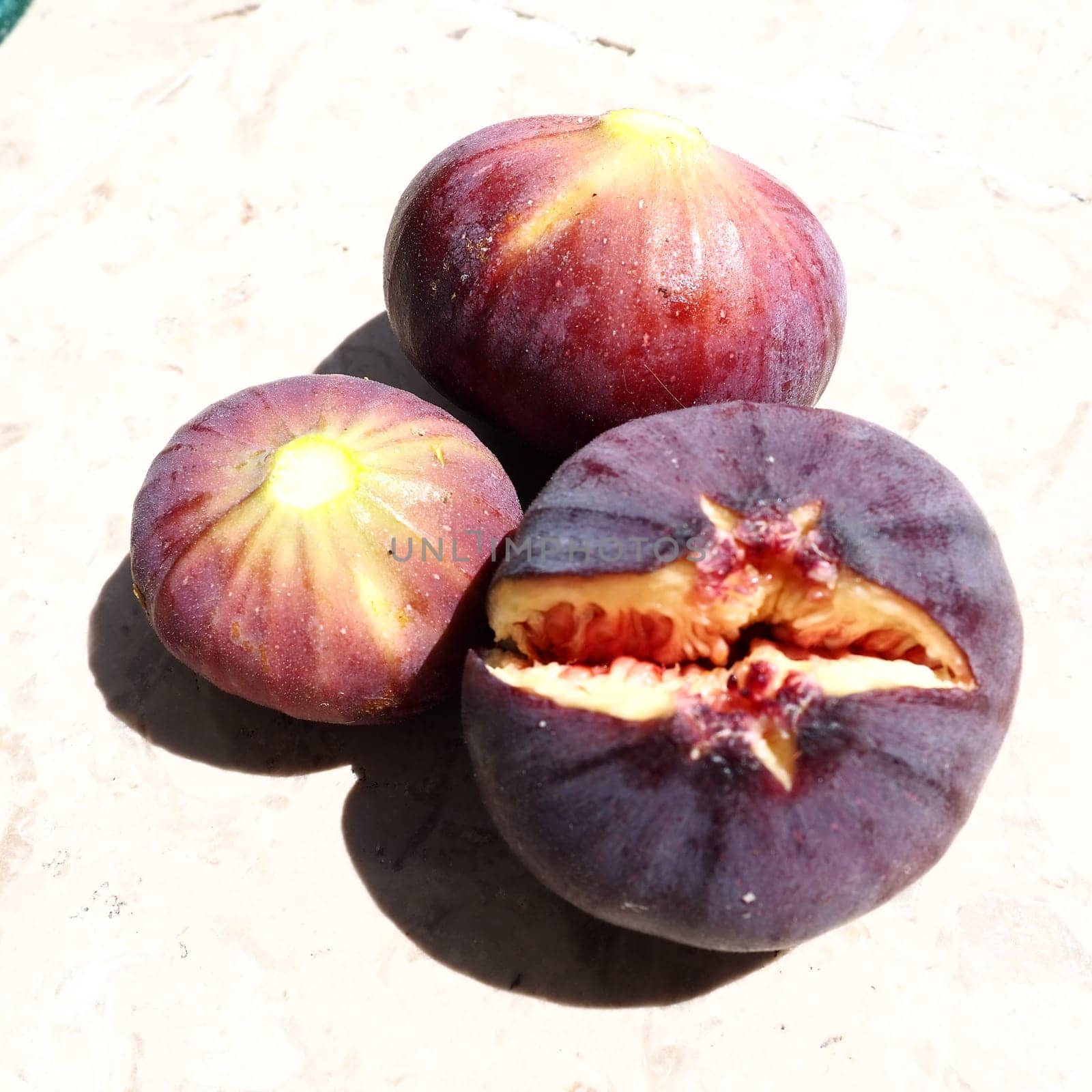 Fig or fig tree, or common fig tree, or Ficus carica is a subtropical deciduous plant of the genus Ficus of the Mulberry family. Ripe purple fig fruits on a light background. Healthy food.