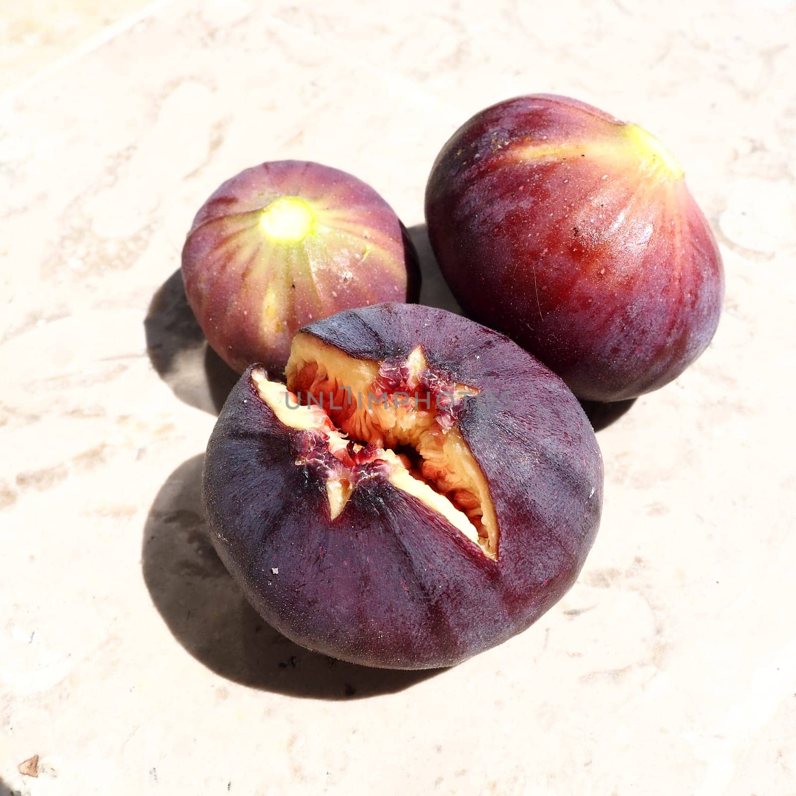 Fig or fig tree, or common fig tree, or Ficus carica is a subtropical deciduous plant of the genus Ficus of the Mulberry family. Ripe purple fig fruits on a light background. Healthy food.