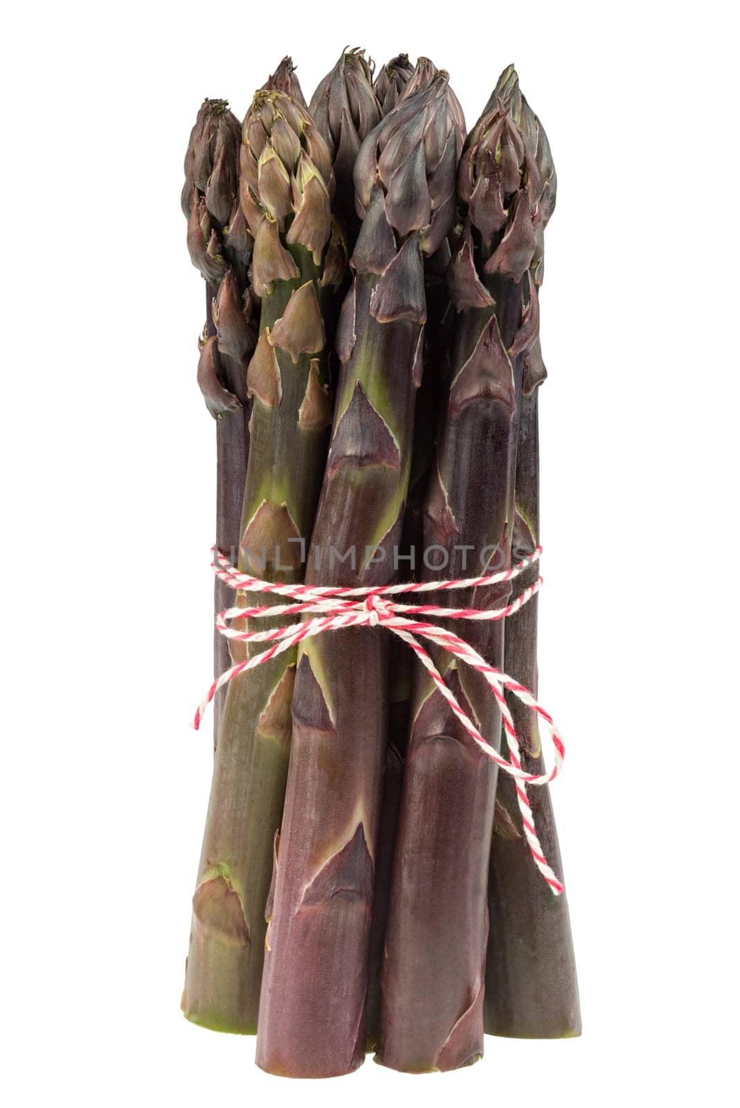 Bunch of purple asparagus exposed on white background