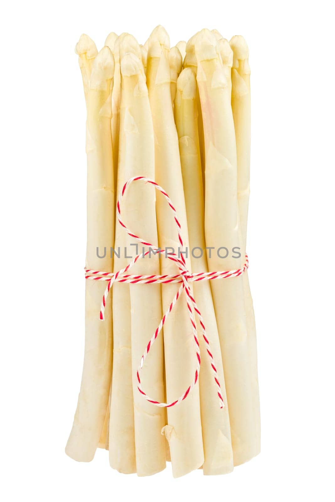 Bunch of white asparagus exposed on white background
