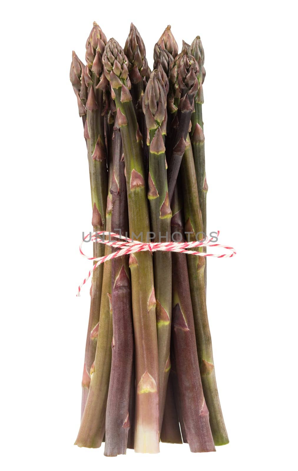 Bunch of purple asparagus exposed on white background