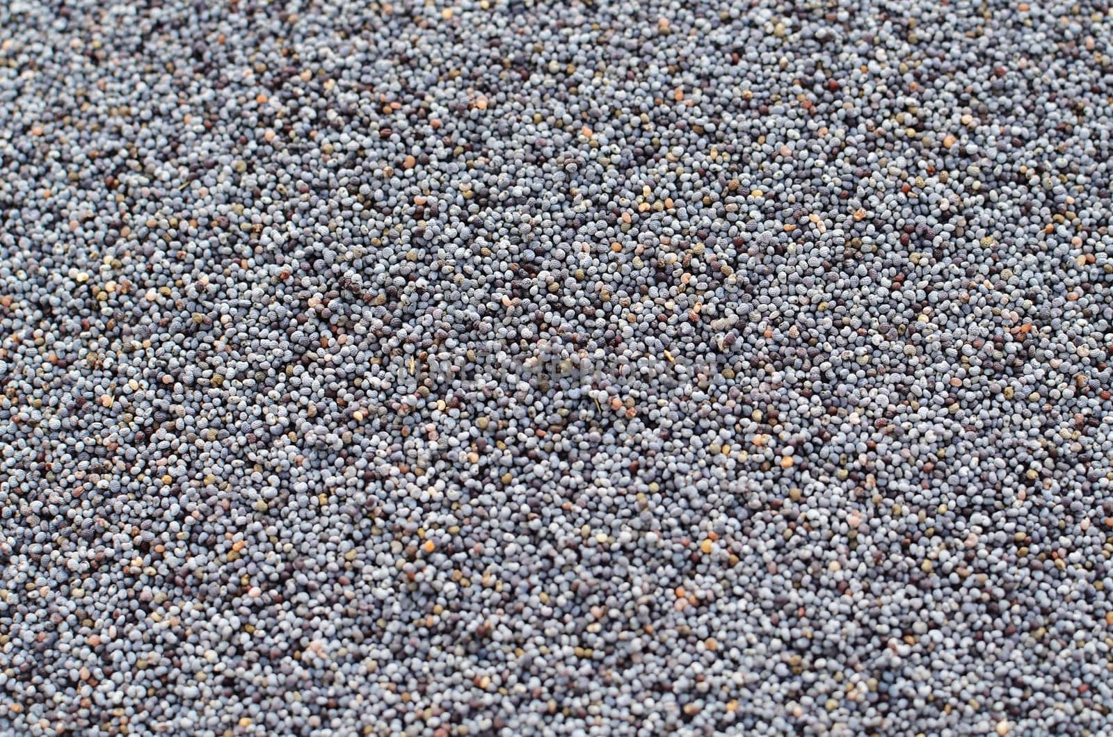 Poppy seeds