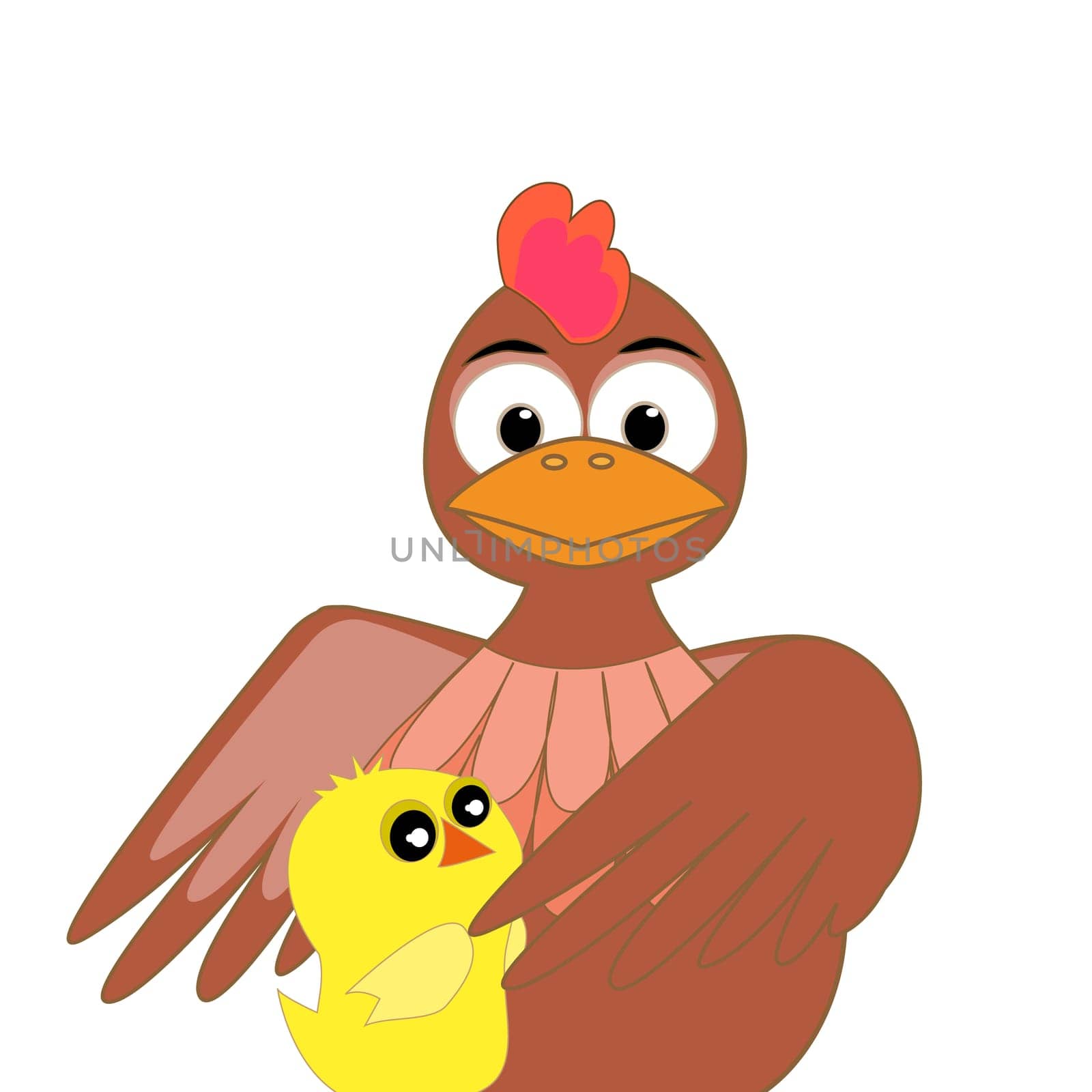 Chicken with chicken on a white background