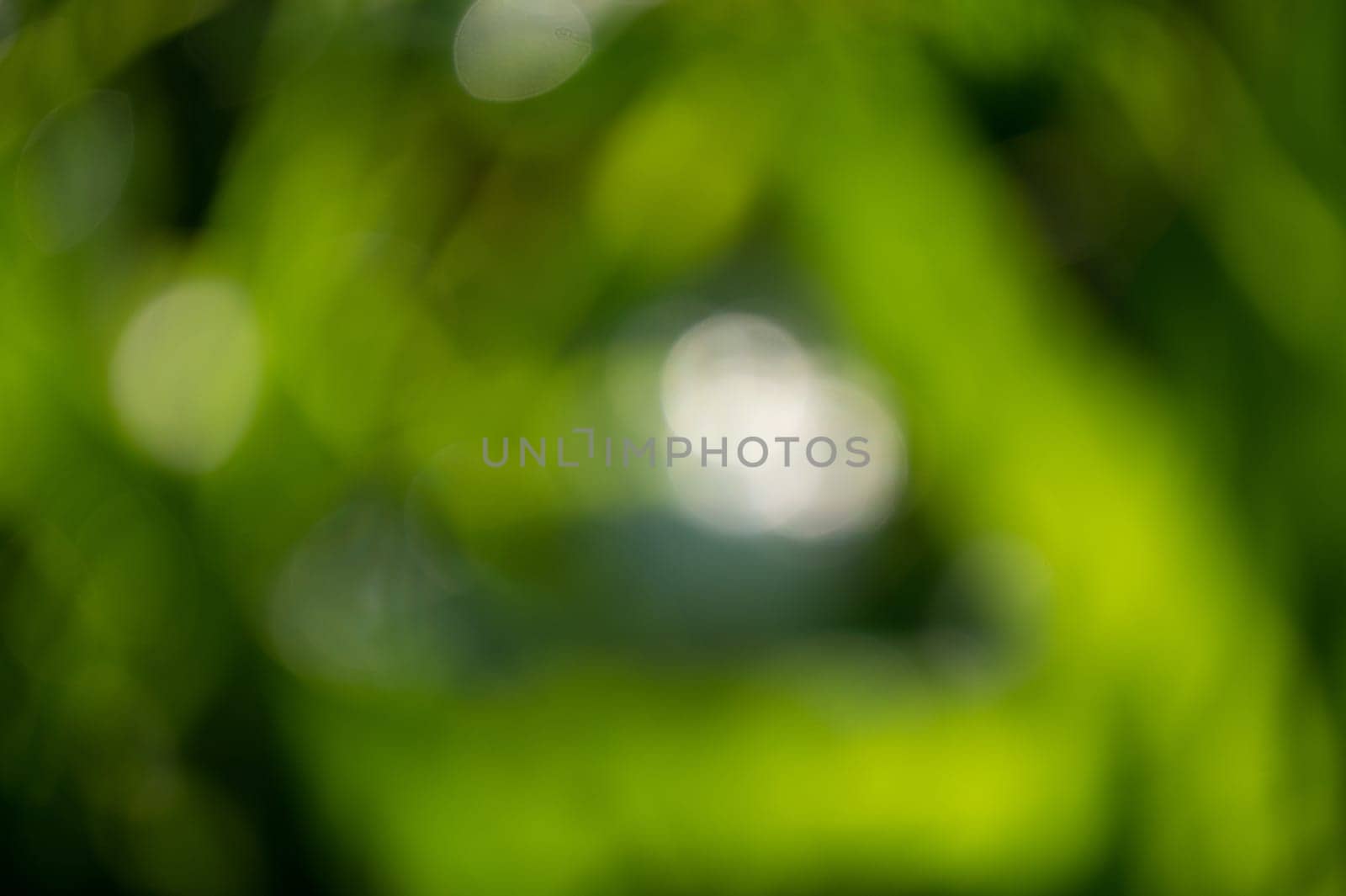 Background texture in green and white