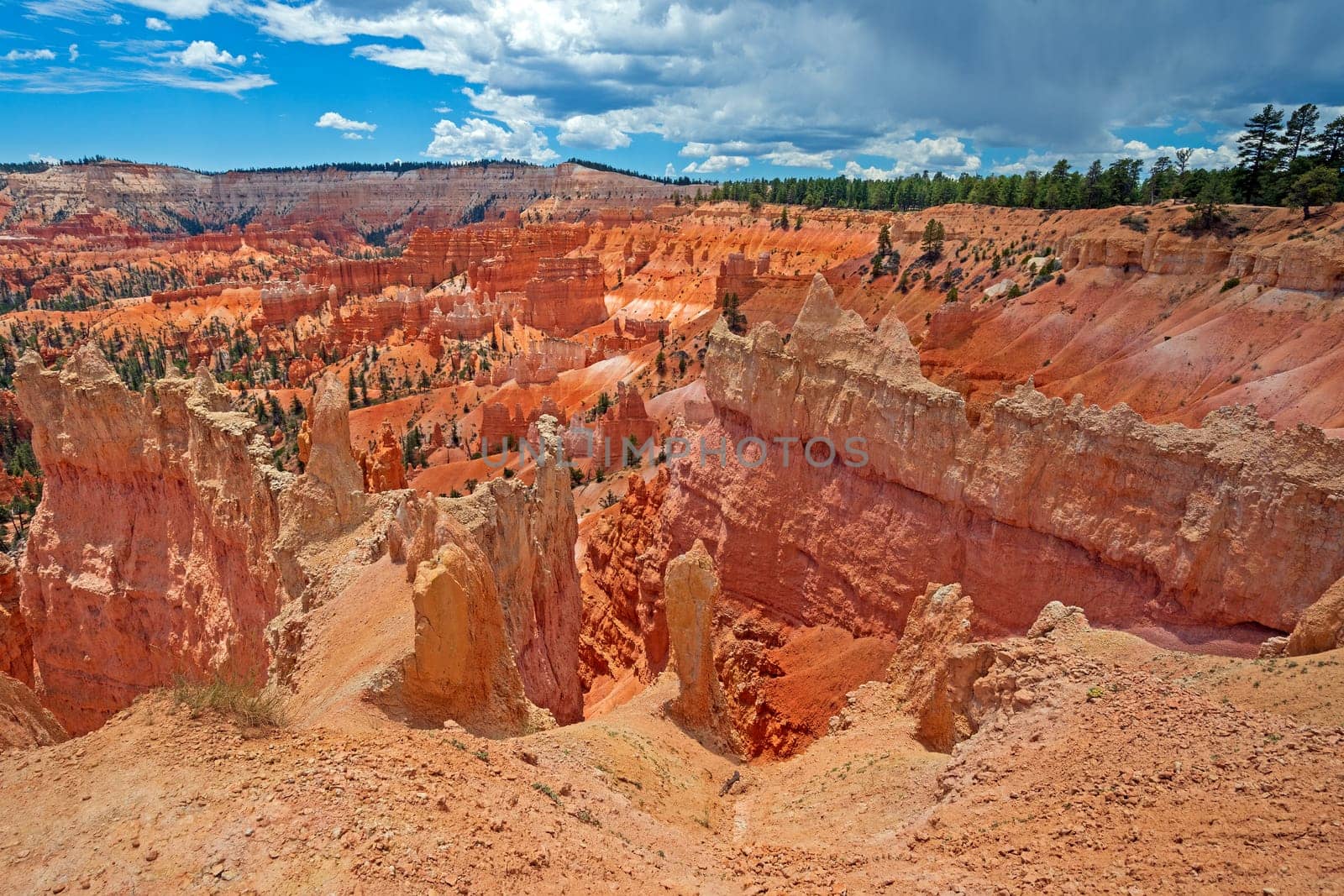 Colorful Eroded Hoodoos in The Mountains in Bryce Canyon National Park in Utah