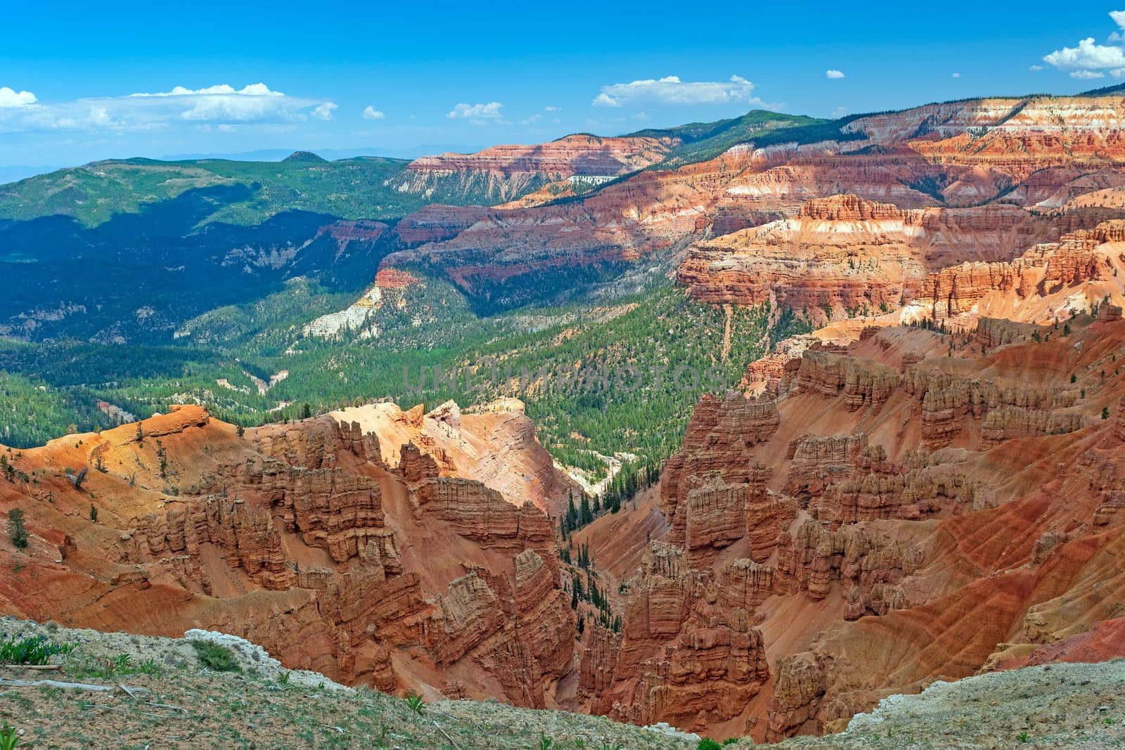 Red Cliffs Amongst the Green Canyons in Cedar Breaks National Monument in Utah
