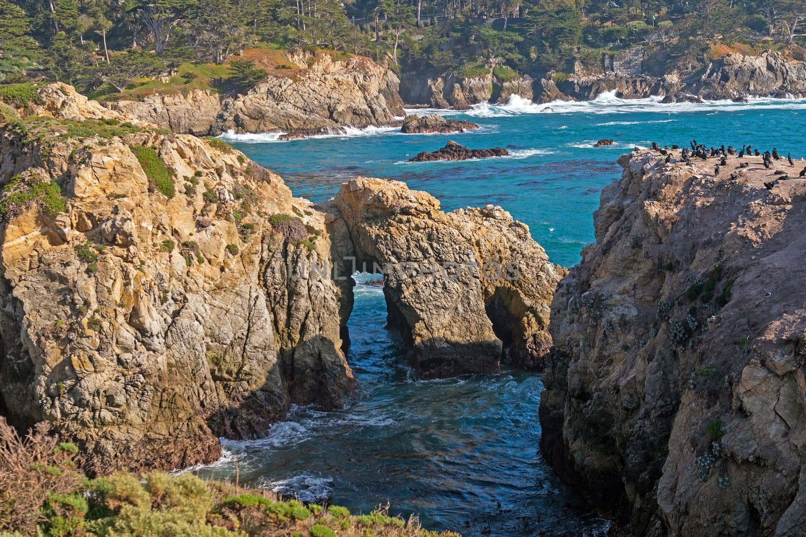 Sea Arch on a Rocky Coast in Point Lobos State Natural Reserve in California