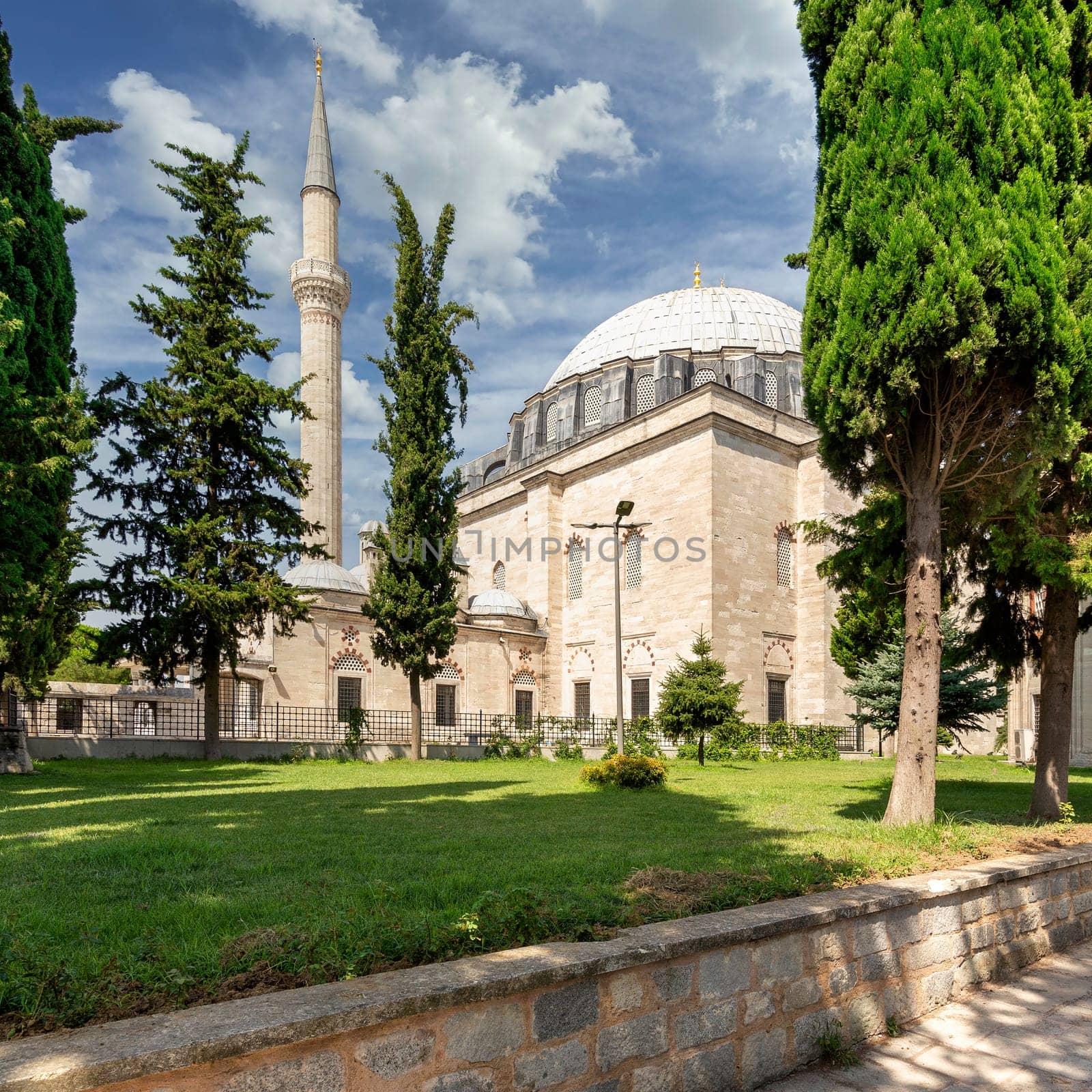 Exterior shot of Yavuz Sultan Selim Mosque, framed by green trees, a 16th century Ottoman imperial mosque, located at the top of the 5th Hill of Istanbul, in Cukurbostan, overlooking Golden Horn