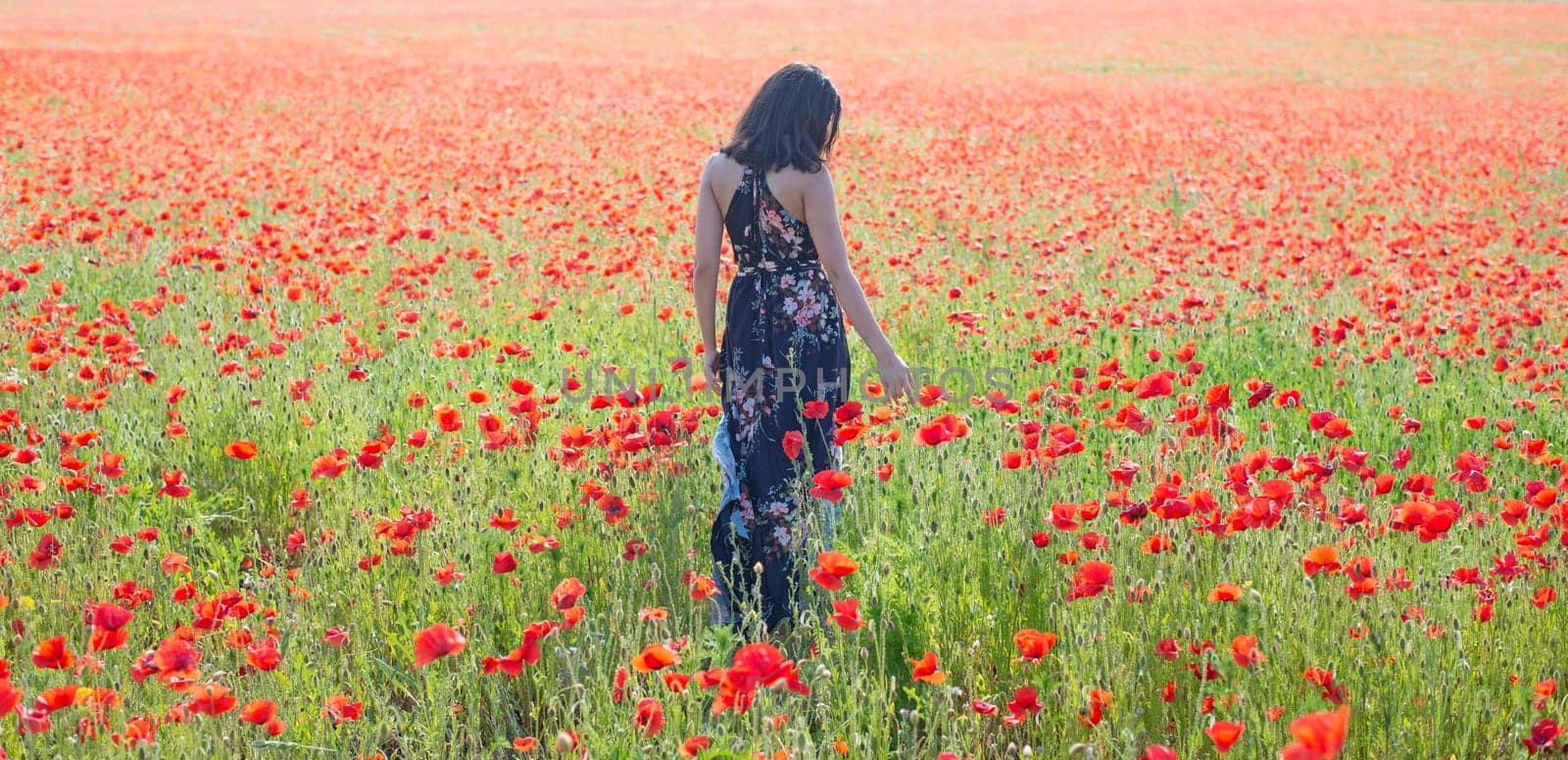 melancholic young woman in poppy field