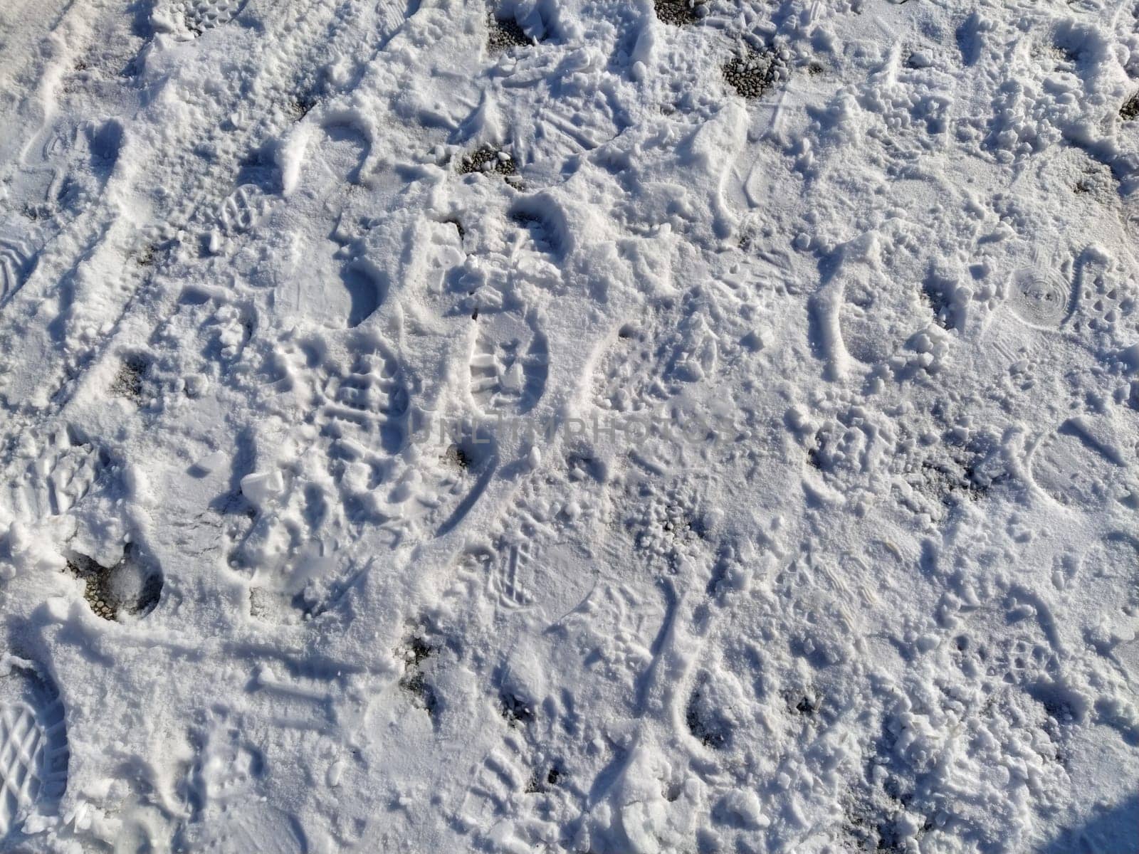 Footprints of boots in the snow. Lots of human footprints on fresh white crust