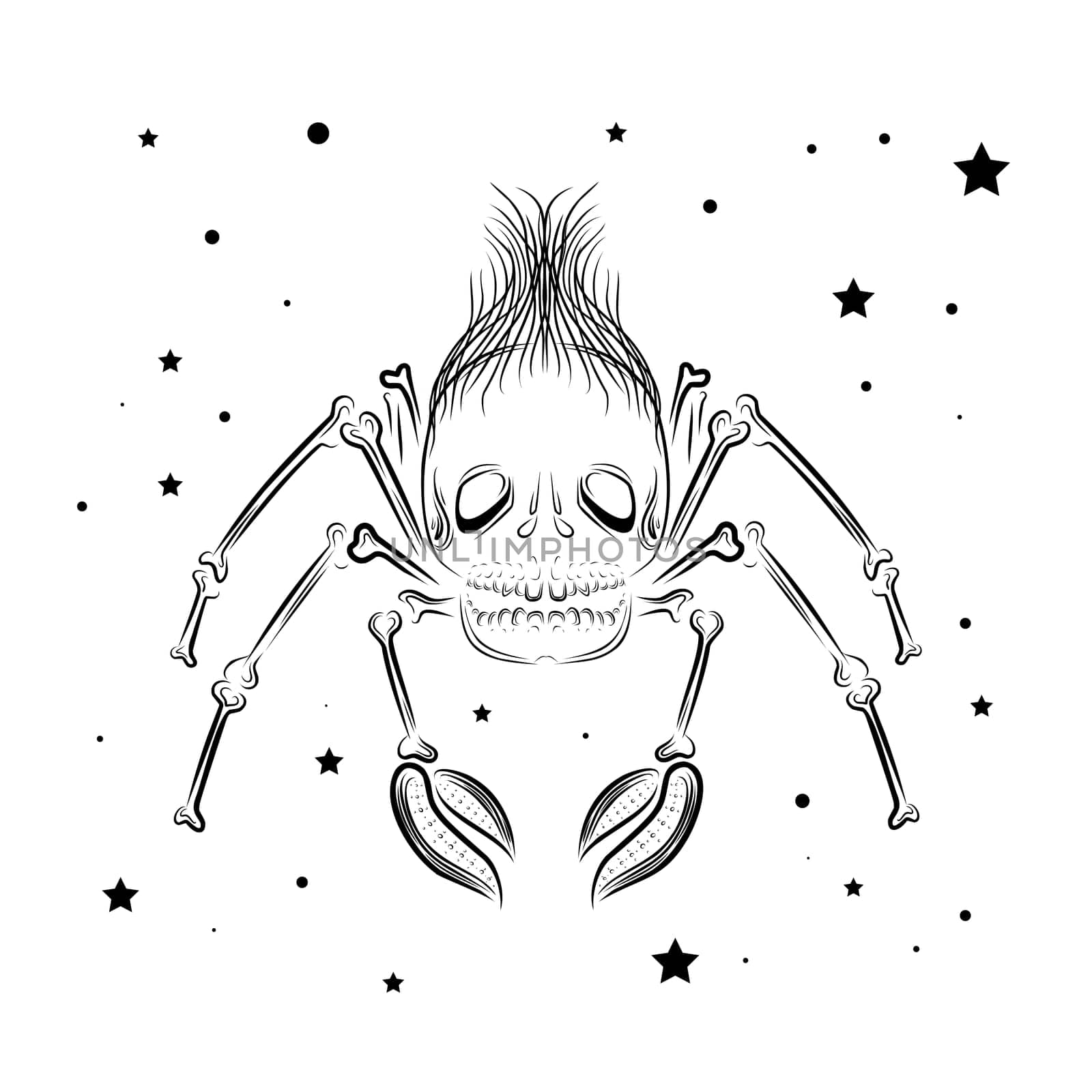 spider linear sketch for tattoo. A spider with a skull head.