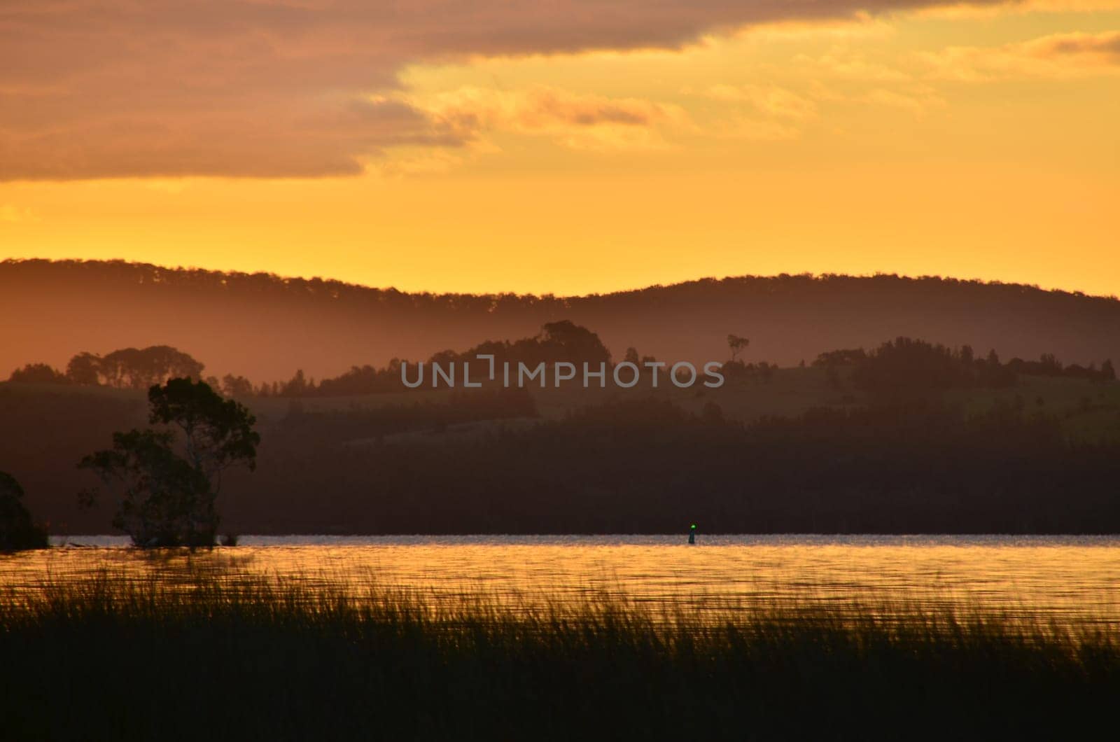 gruenes light on the myalllake
