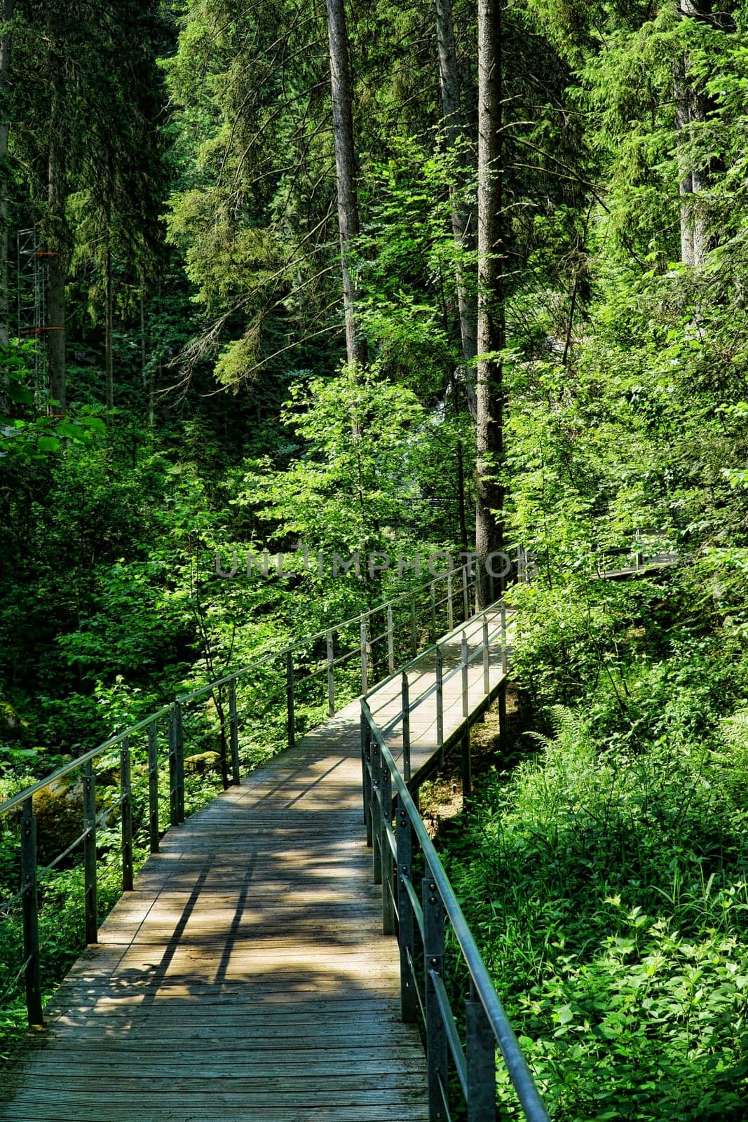 Wooden jetty with railing through the Black Forest