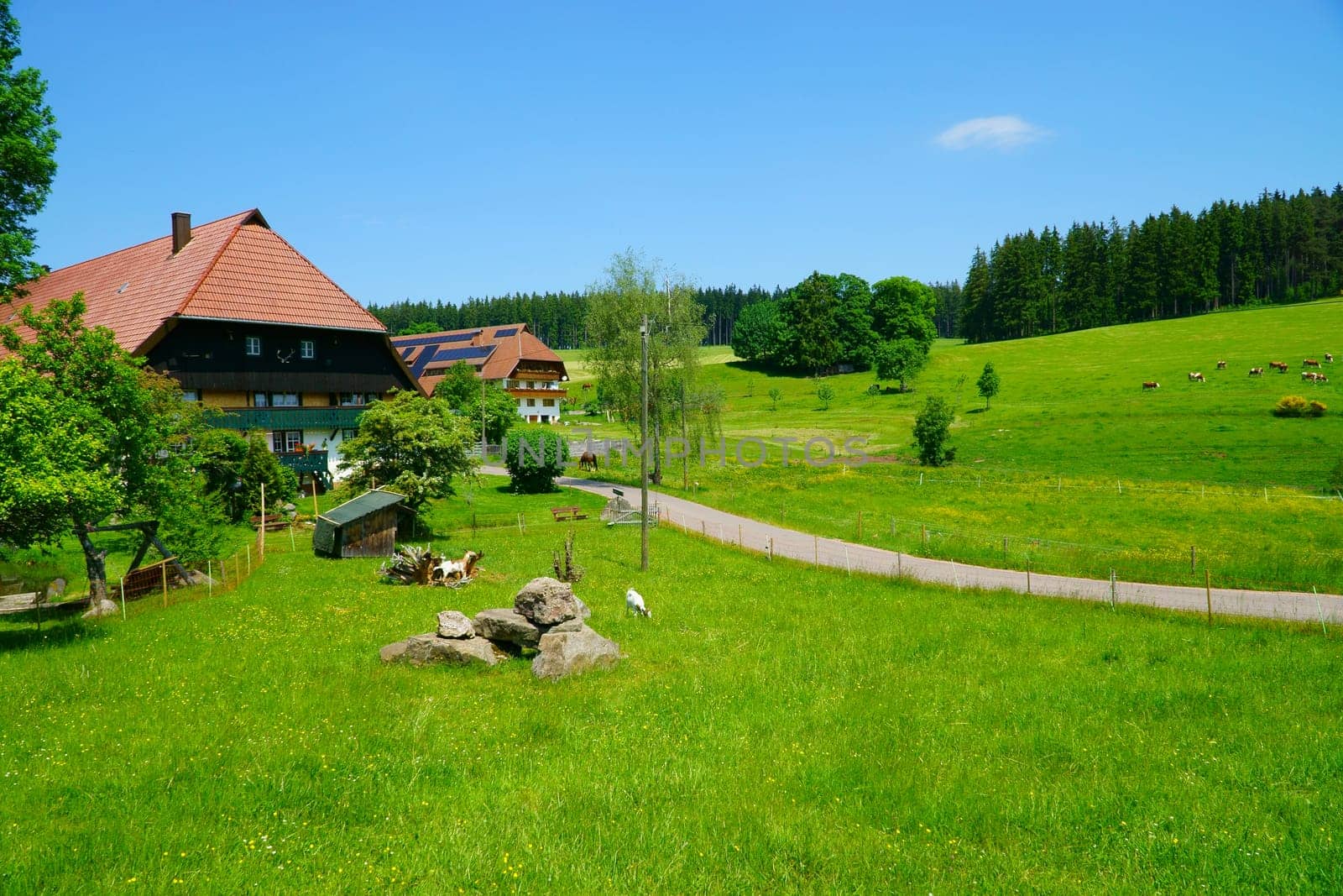 Landscape in the southern Black Forest with farm