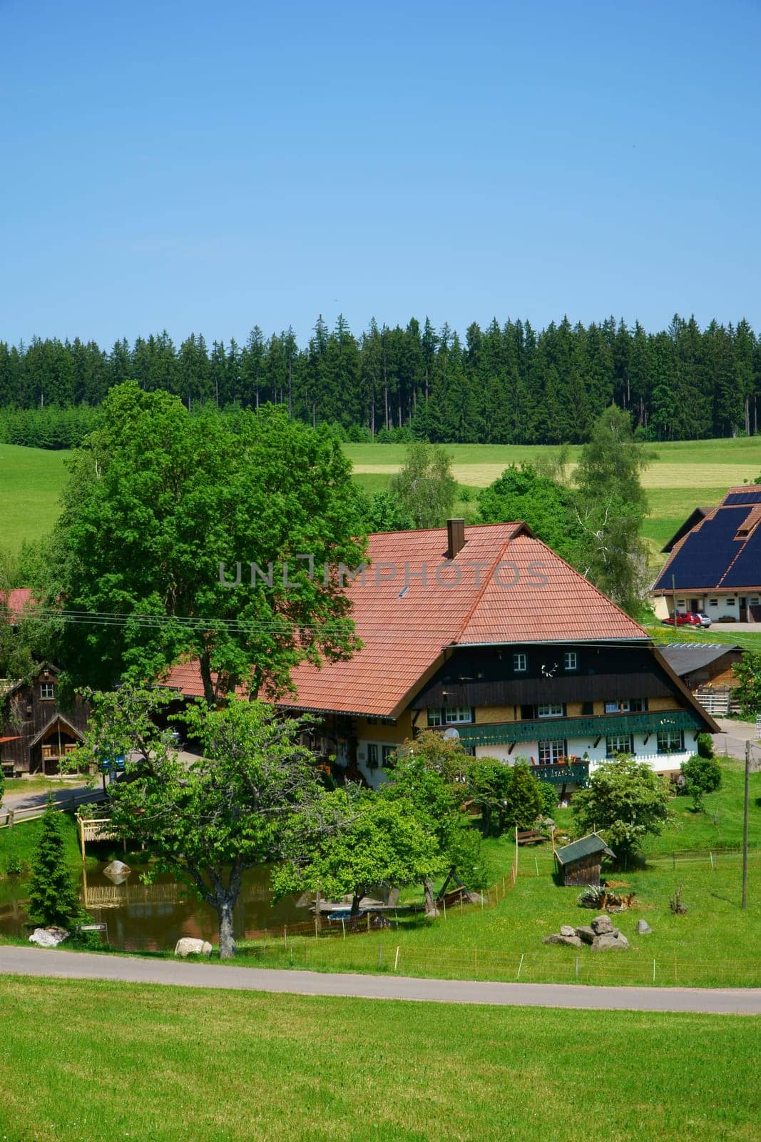 Large farm with pond in the southern Black Forest
