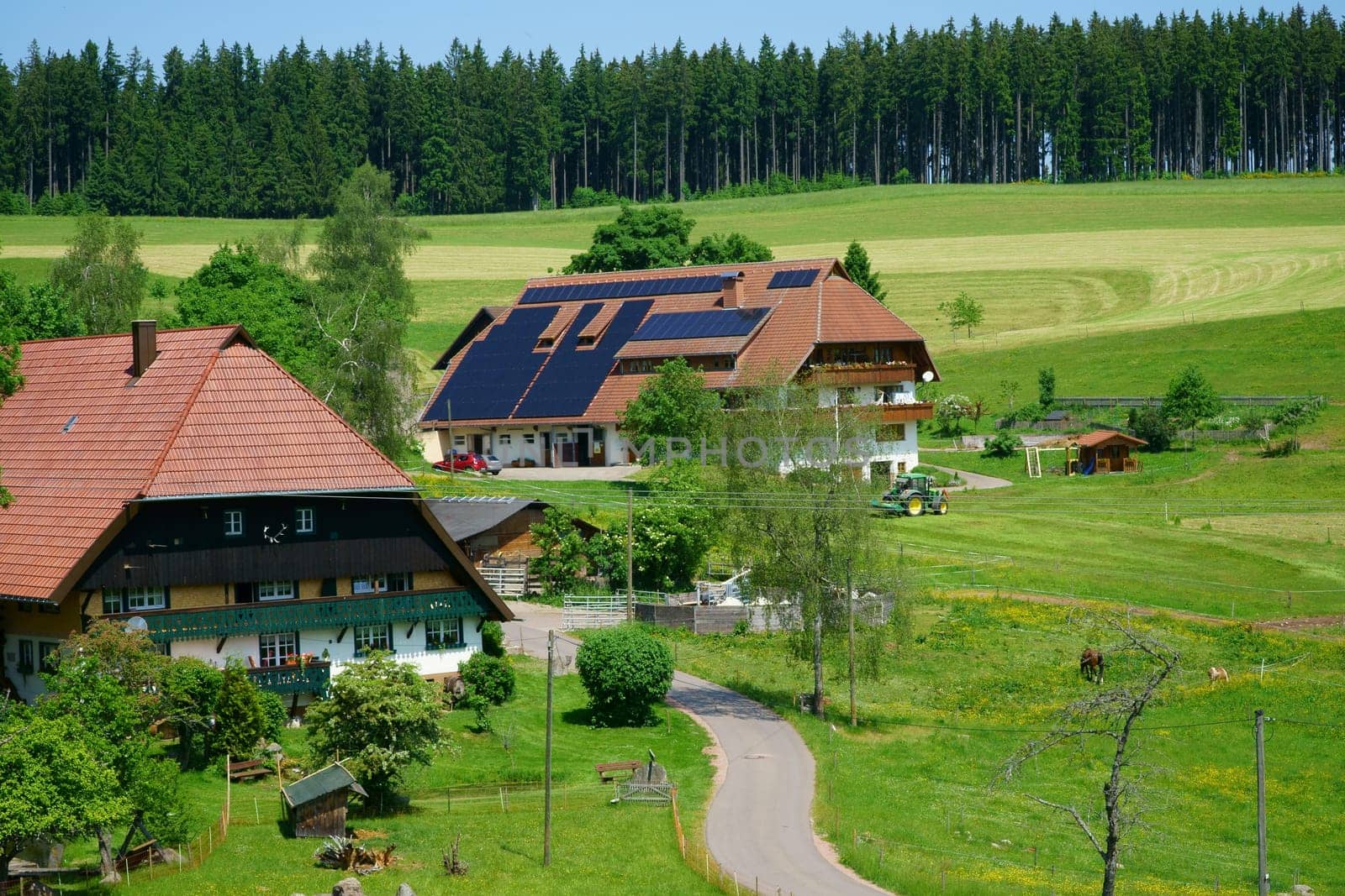 Landscape in summer with farms in the Black Forest