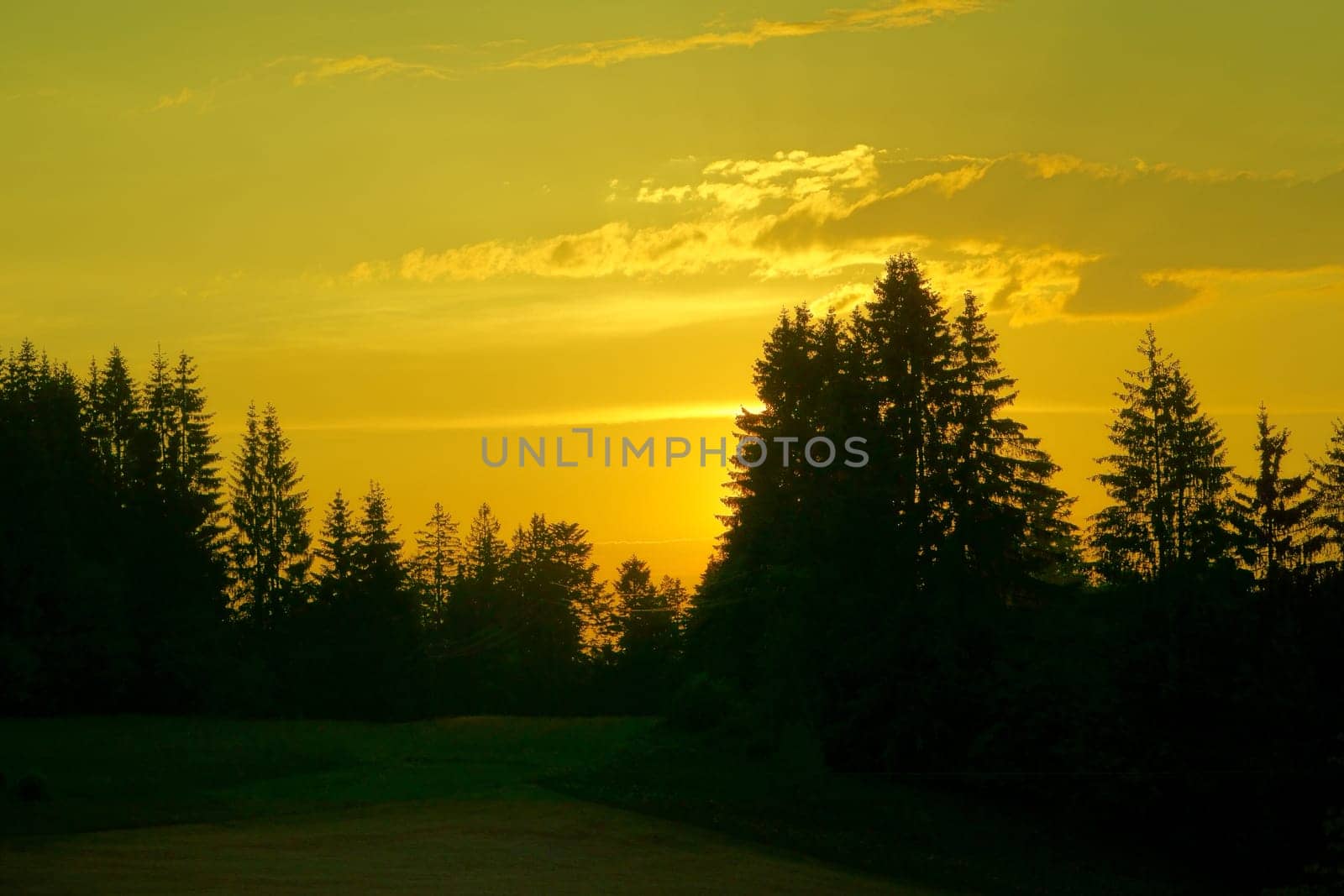 Idyllic sunset in the Black Forest