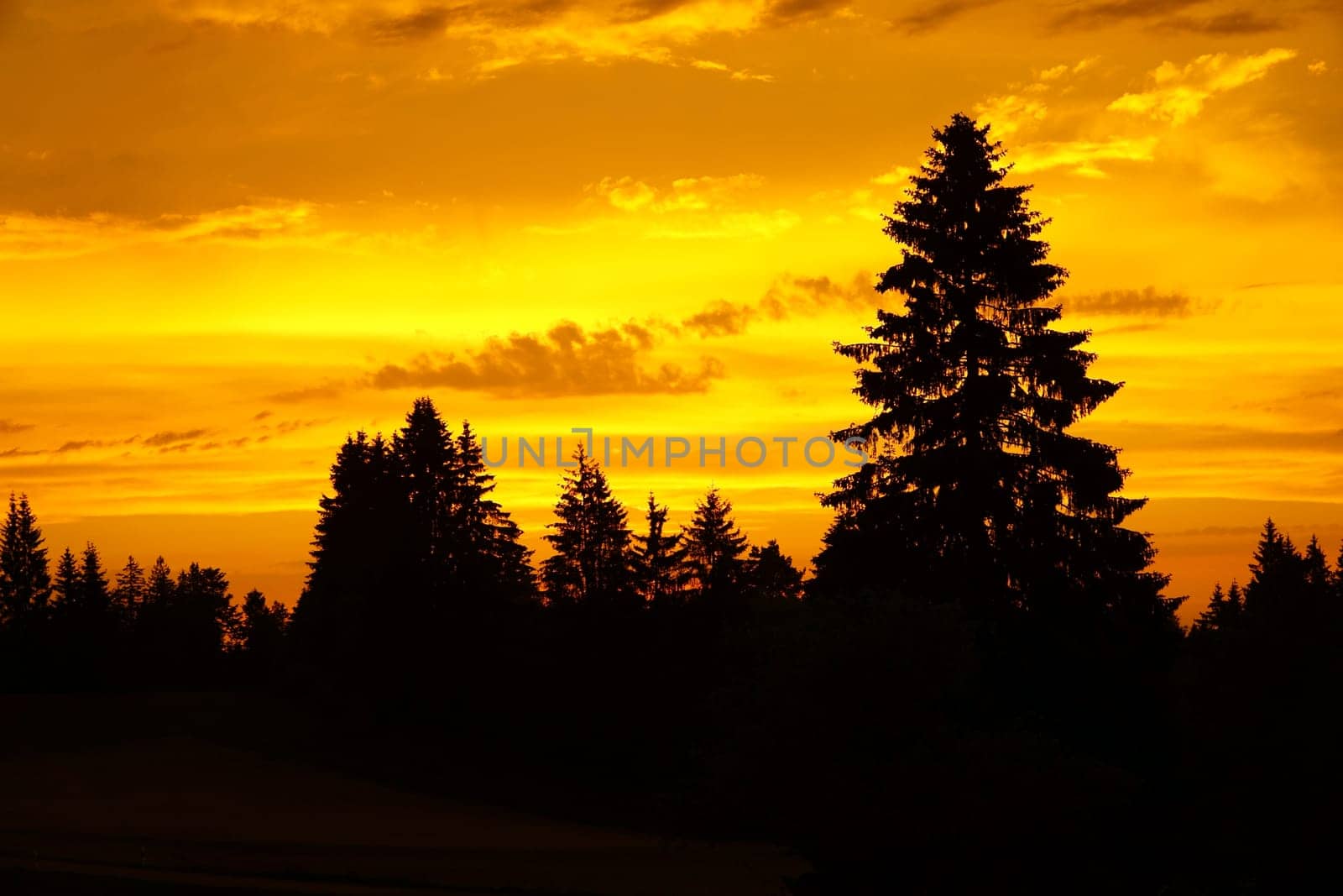 Beautiful sunset over the Black Forest