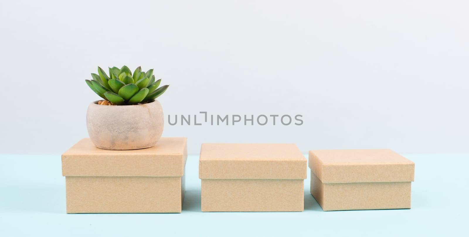 Cactus in a pot standing on a gift box, minimalistic decoration, plant at the desk, modern home, homeoffice