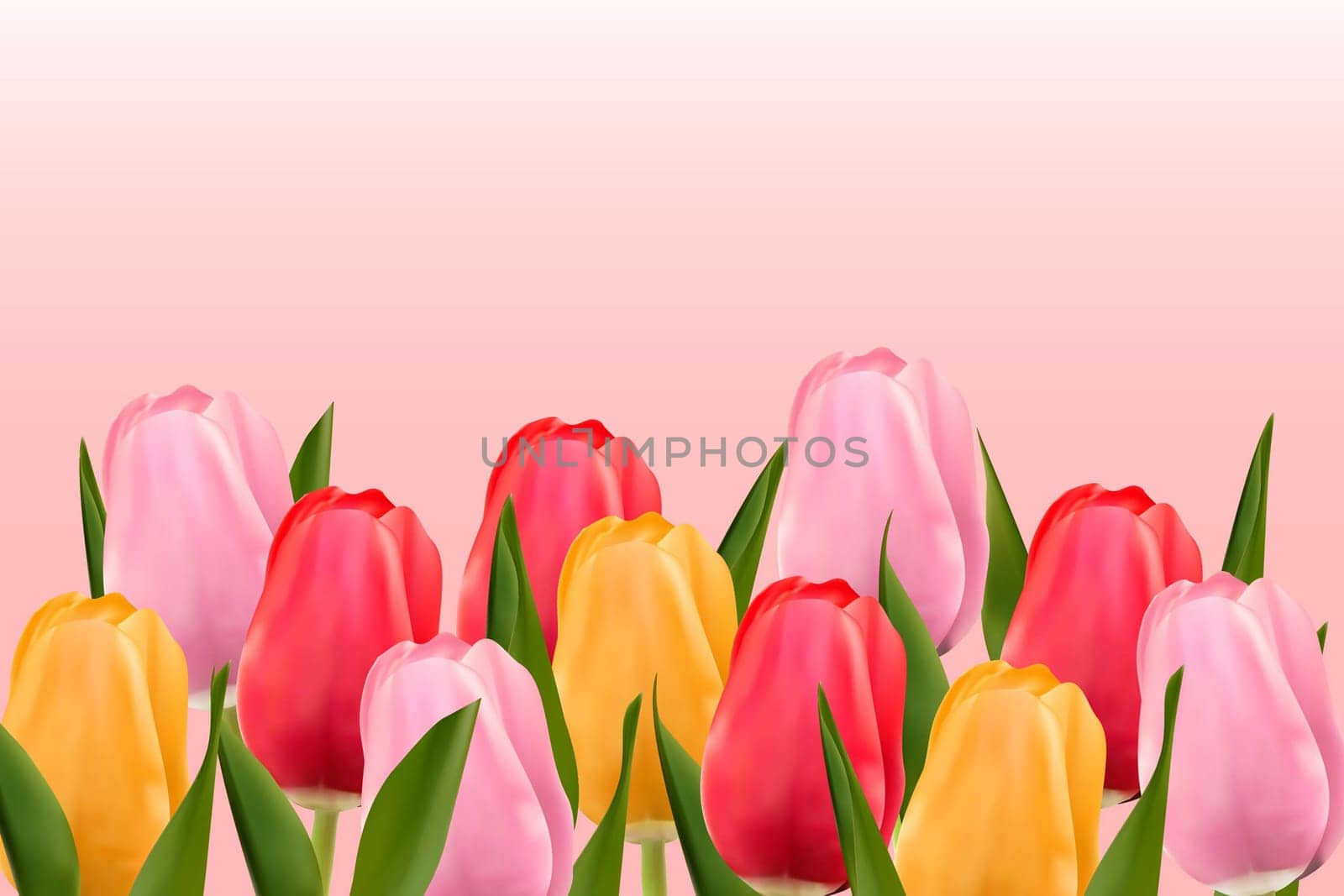Multicolored tulips on a light pink background with copy space. Vector image.