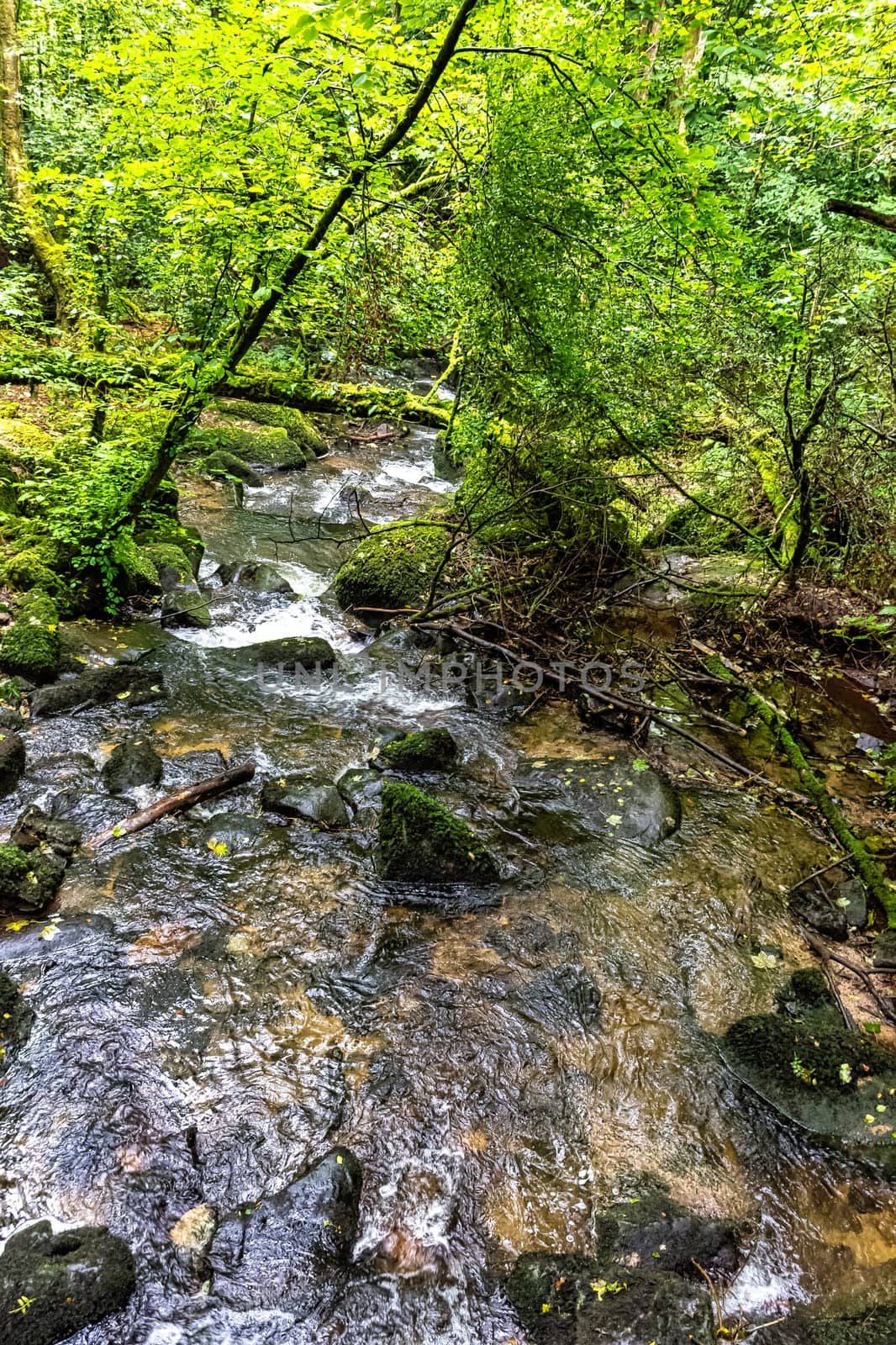 Kennall River in Kennall Vale Nature Reserve, Ponsanooth, Cornwall, United Kingdom