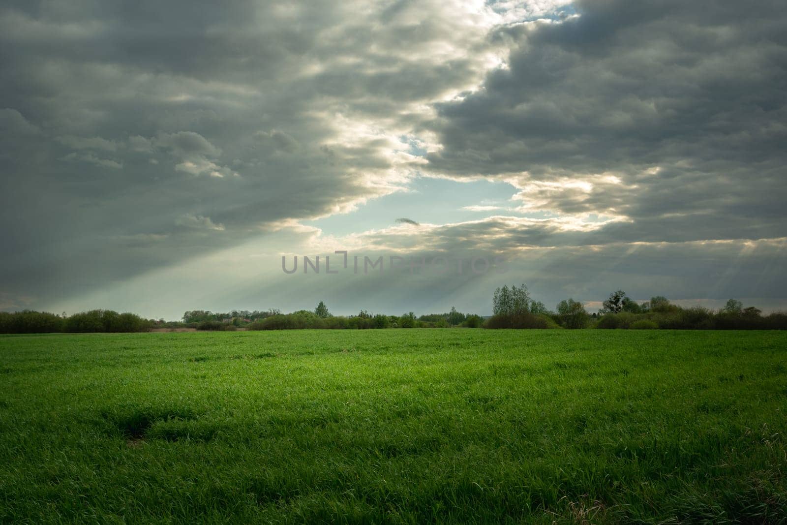 A hole in the clouds and sunshine illuminating a green meadow, Nowiny, Poland