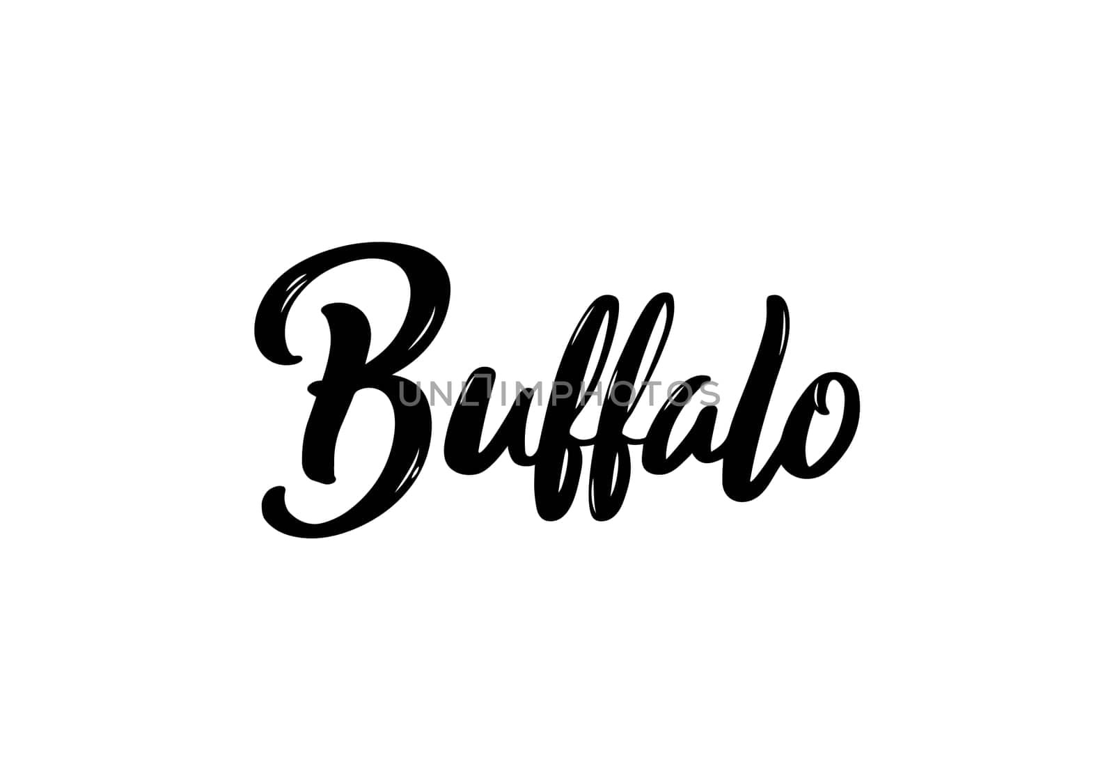 Buffalo city Lettering. Handwritten city name. Buffalo NY banner. Vector design template.