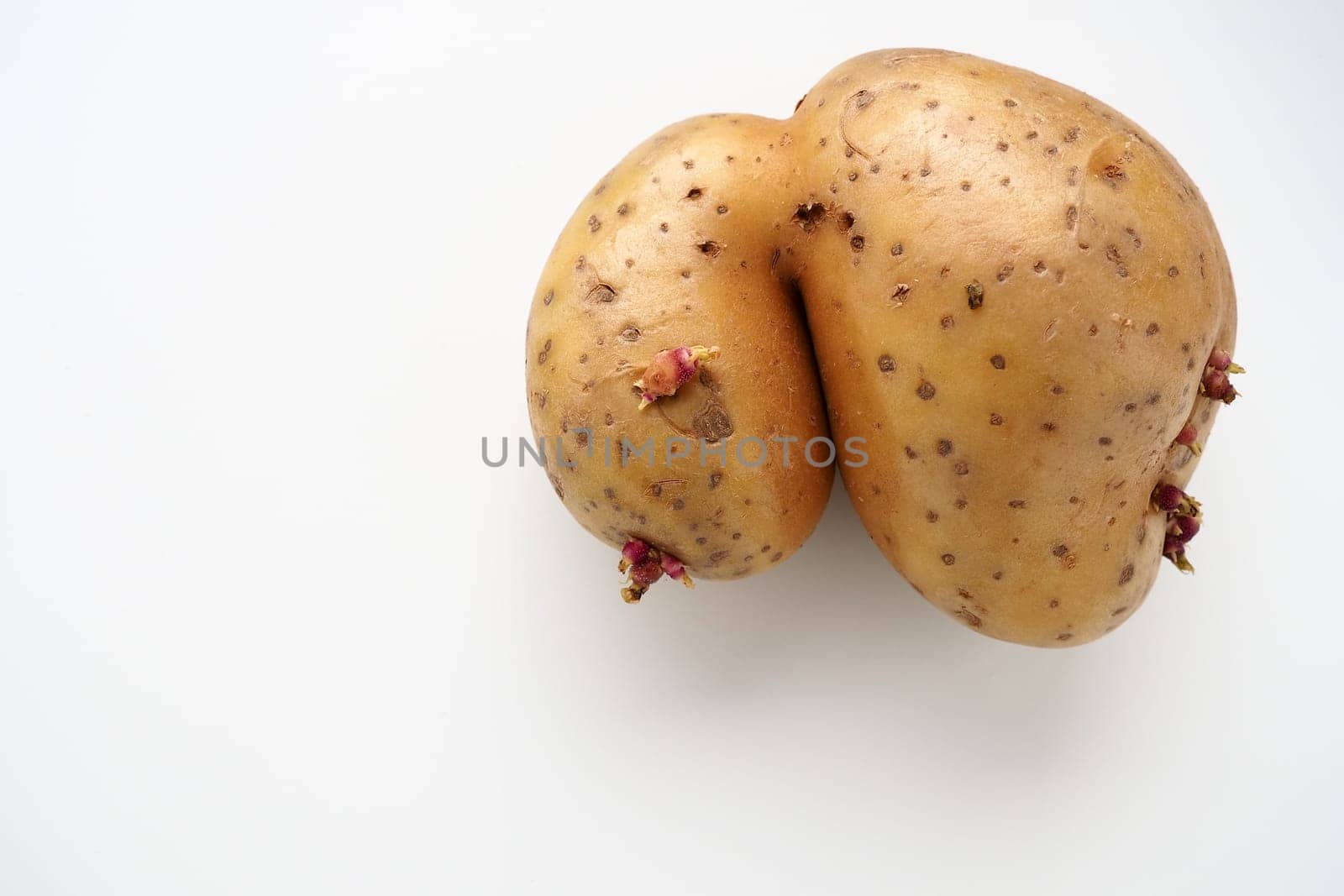 Ugly potatoes on white background. Unnormal vegetable, zero waste. Irregular shaped pratie spud. Influence of dioxins, radiation, pesticides and mutagenic factors on plant development