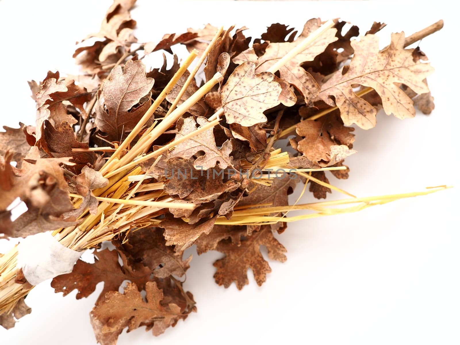 The badnjak veseljak is a tree branch or entire tree that is central to Serbian Christmas celebrations. It is placed on a fire on Christmas Eve and its branches are later brought home by worshipers