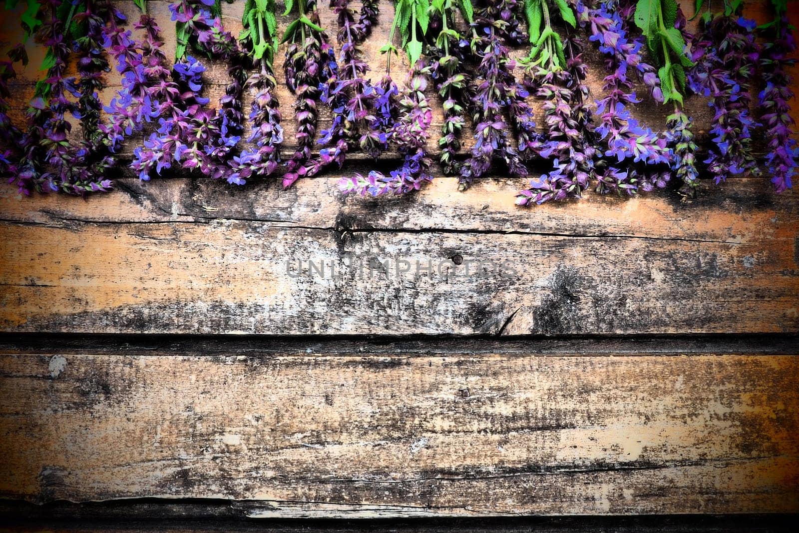 Lavender and sage flowers on a wooden table close-up. Horizontal planks of dark old wood with purple and blue flowers and leaves around the edges. Still life and flat lay. Free copy space for text.